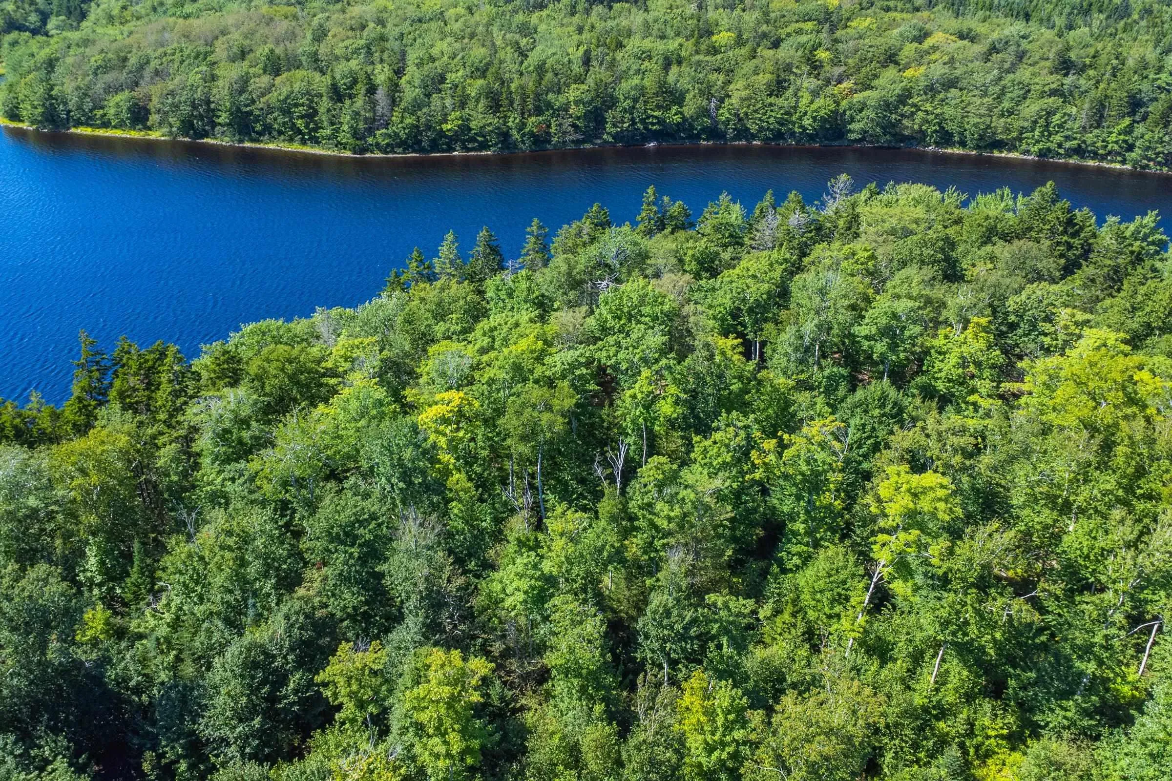 Lake Fanning Road Lot 1, Carleton Ns B5a 5r2, ,Land,For Sale,Lake Fanning,202419771