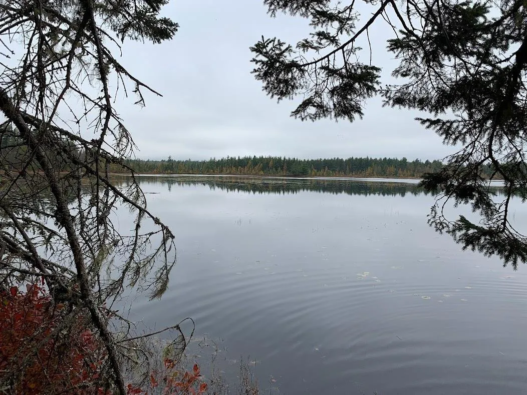 Pleasant River Preserve Lot 1, Pleasant River Ns B0t 1x0, 1 Bedroom Bedrooms, ,Residential,For Sale,Pleasant River Preserve,202419289