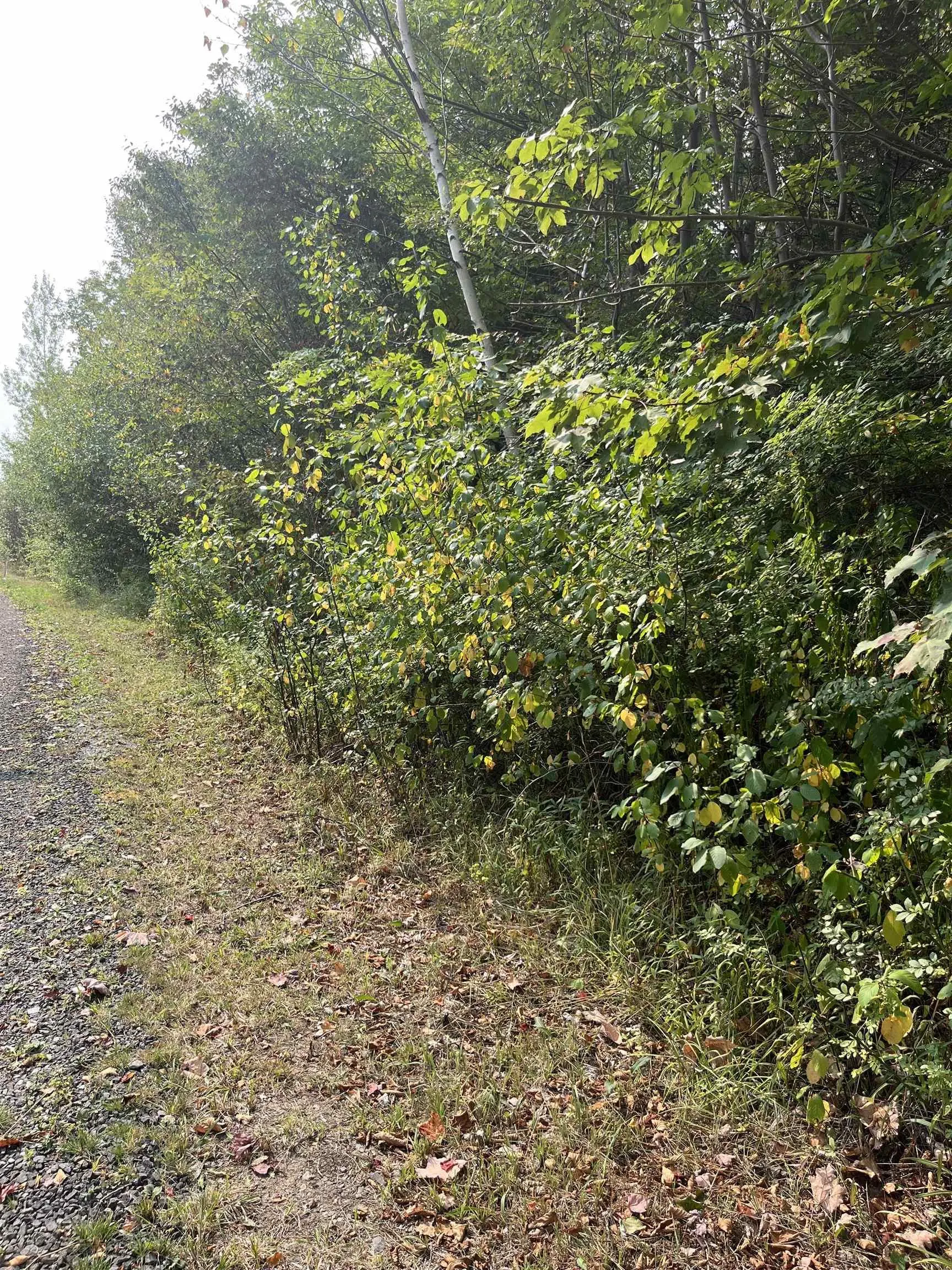 Granville Road Lot 5, Karsdale, NS B0S 1A0, ,Land,For Sale,Granville,202522684
