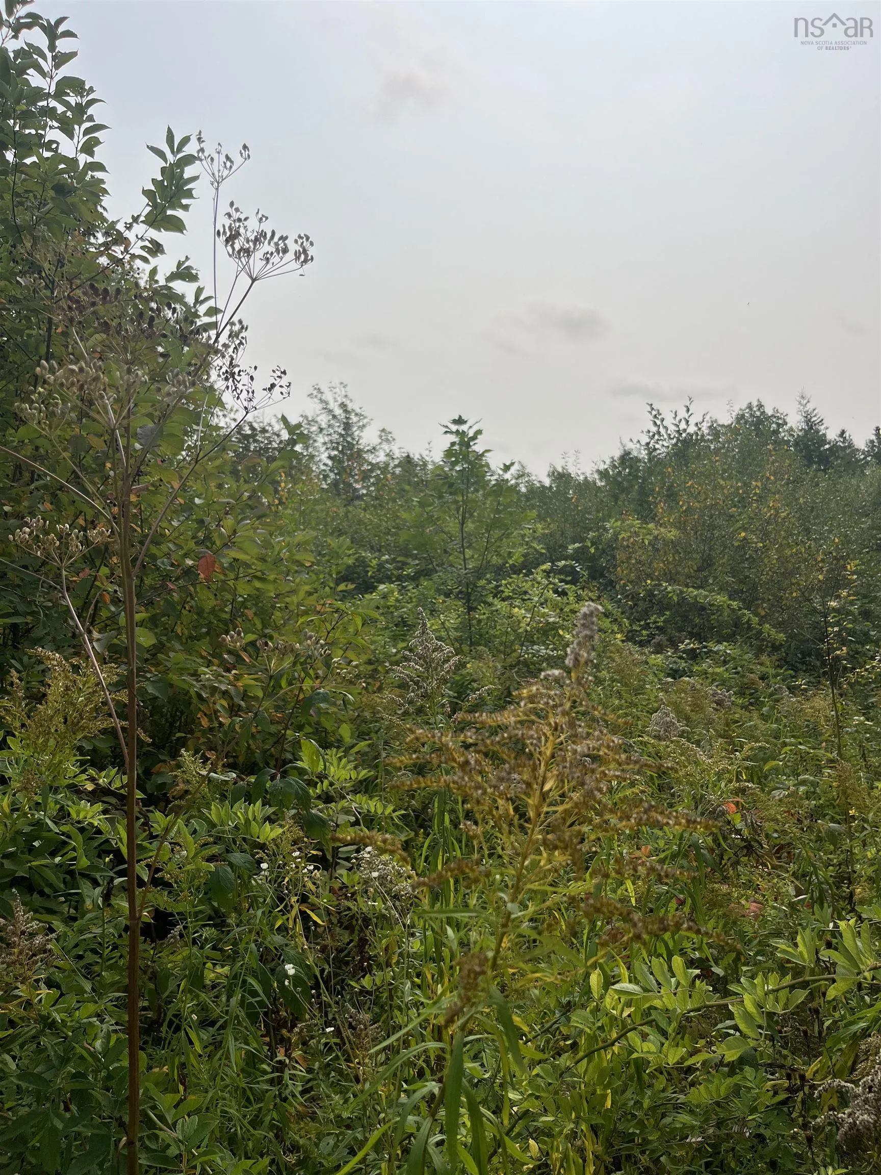 Granville Road Lot 5, Karsdale, NS B0S 1A0, ,Land,For Sale,Granville,202522684