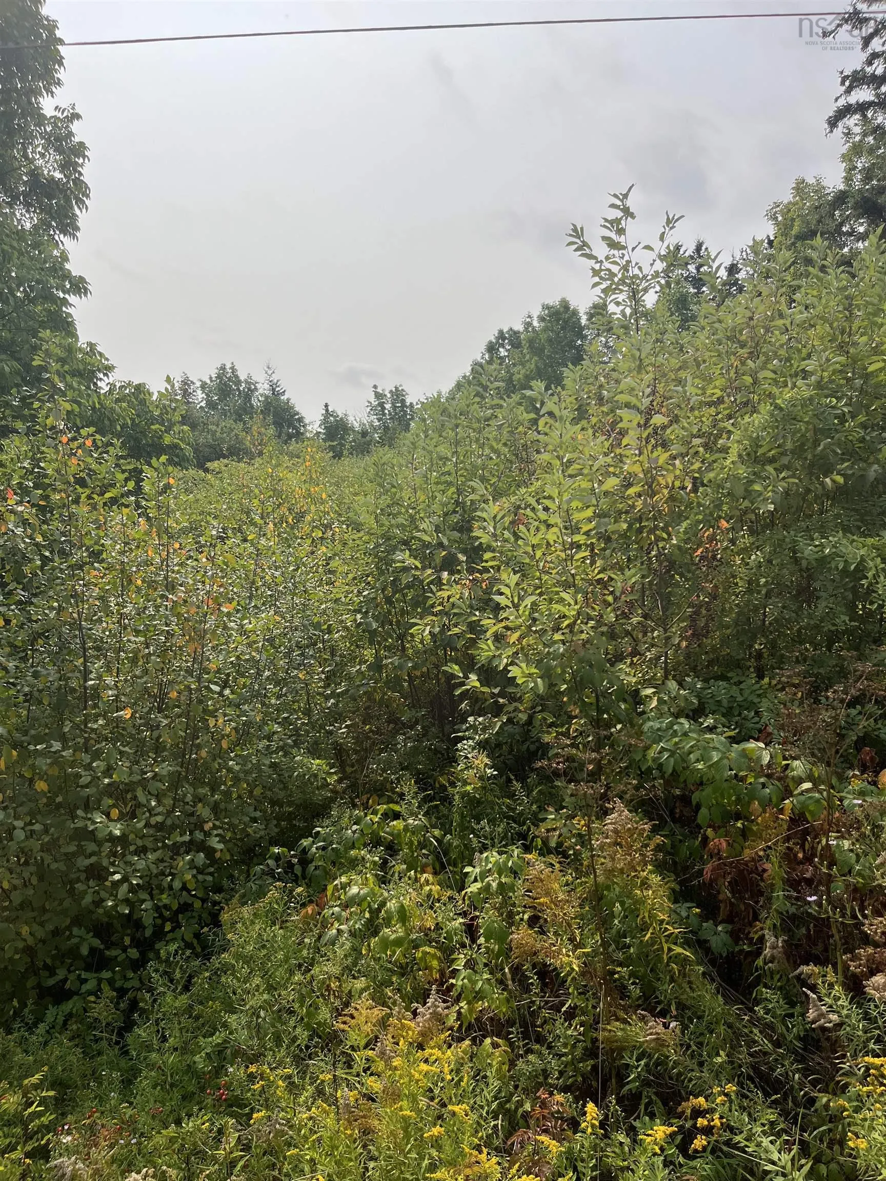 Granville Road Lot 5, Karsdale, NS B0S 1A0, ,Land,For Sale,Granville,202522684