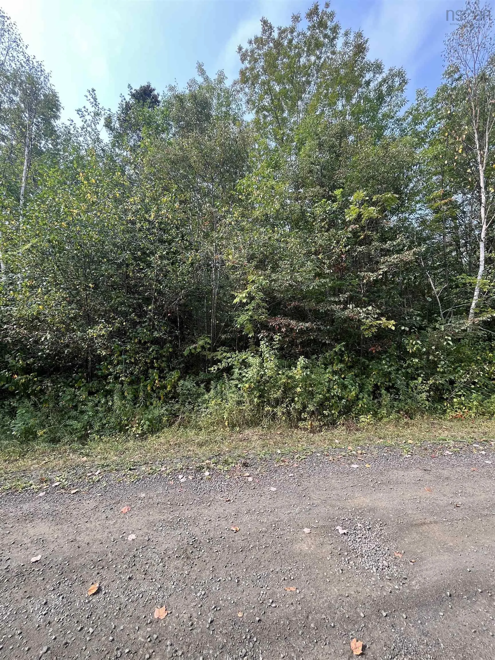 Granville Road Lot 5, Karsdale, NS B0S 1A0, ,Land,For Sale,Granville,202522684
