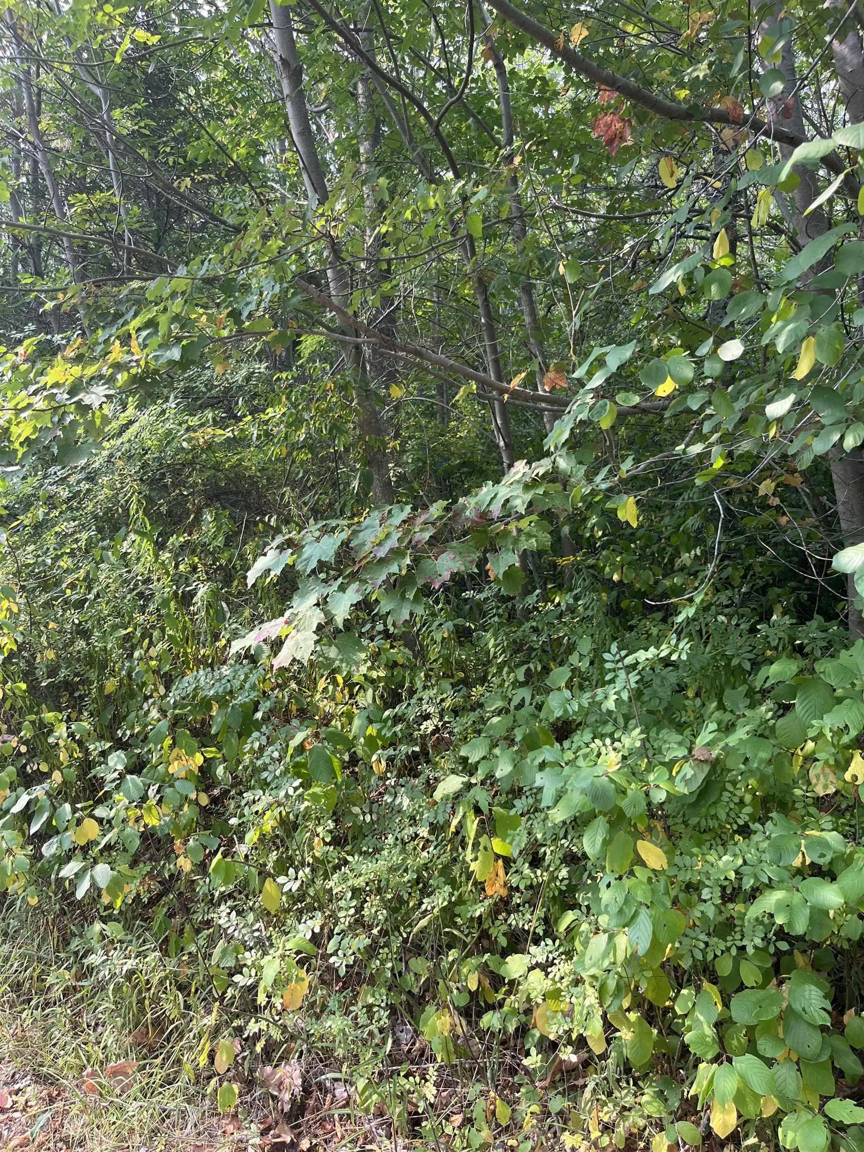 Granville Road Lot 5, Karsdale, NS B0S 1A0, ,Land,For Sale,Granville,202522684