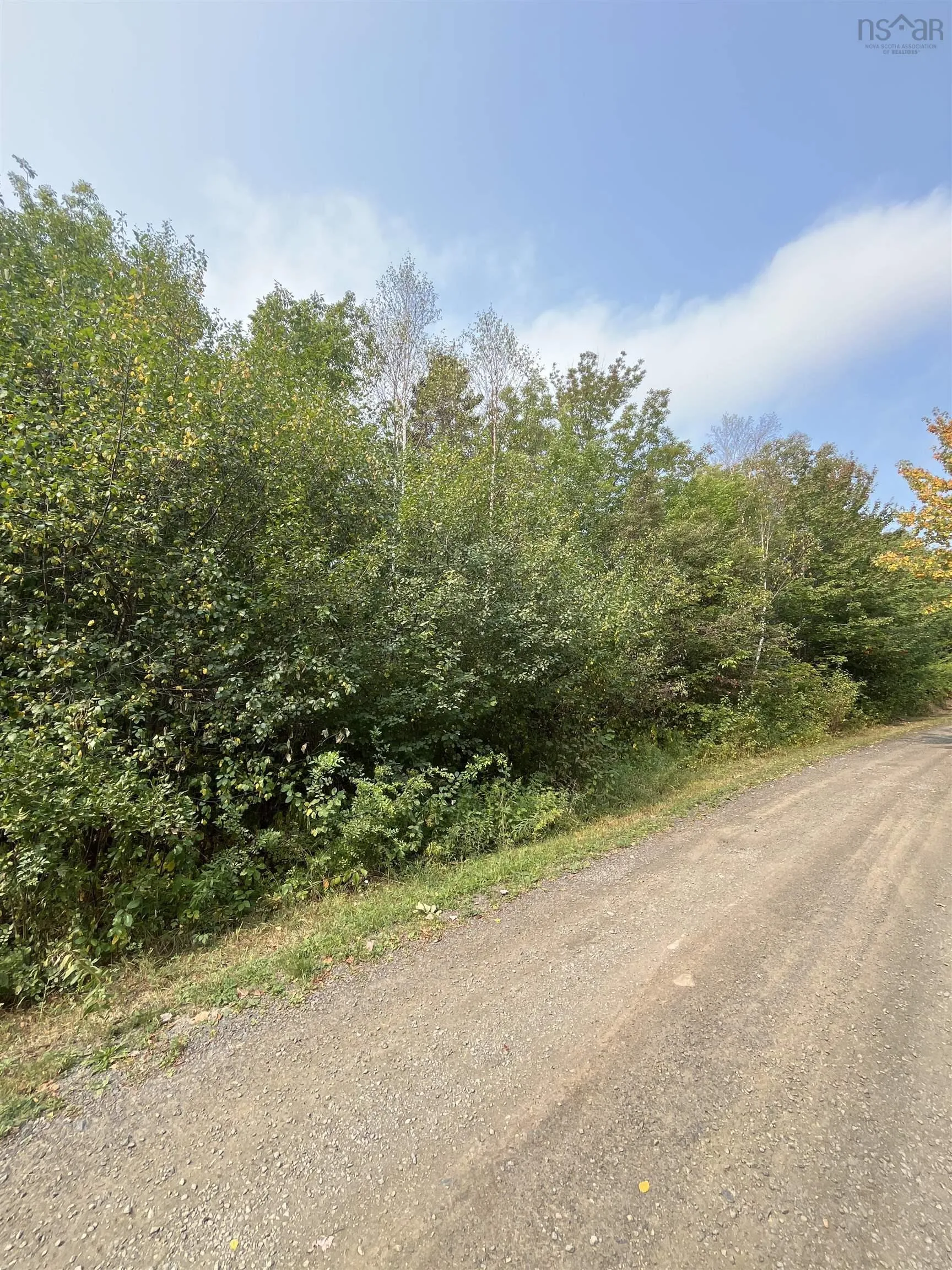 Granville Road Lot 5, Karsdale, NS B0S 1A0, ,Land,For Sale,Granville,202522684