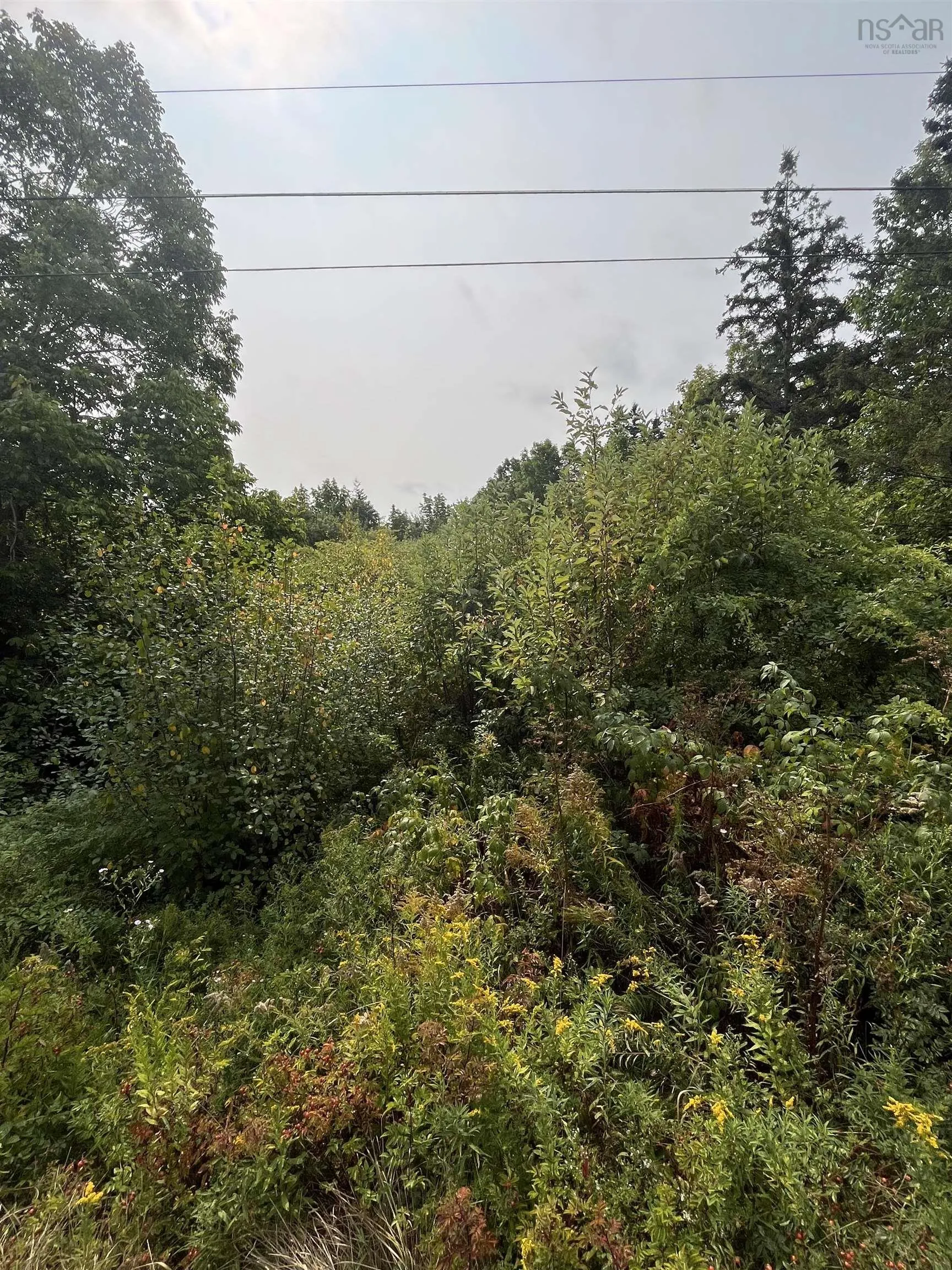 Granville Road Lot 5, Karsdale, NS B0S 1A0, ,Land,For Sale,Granville,202522684