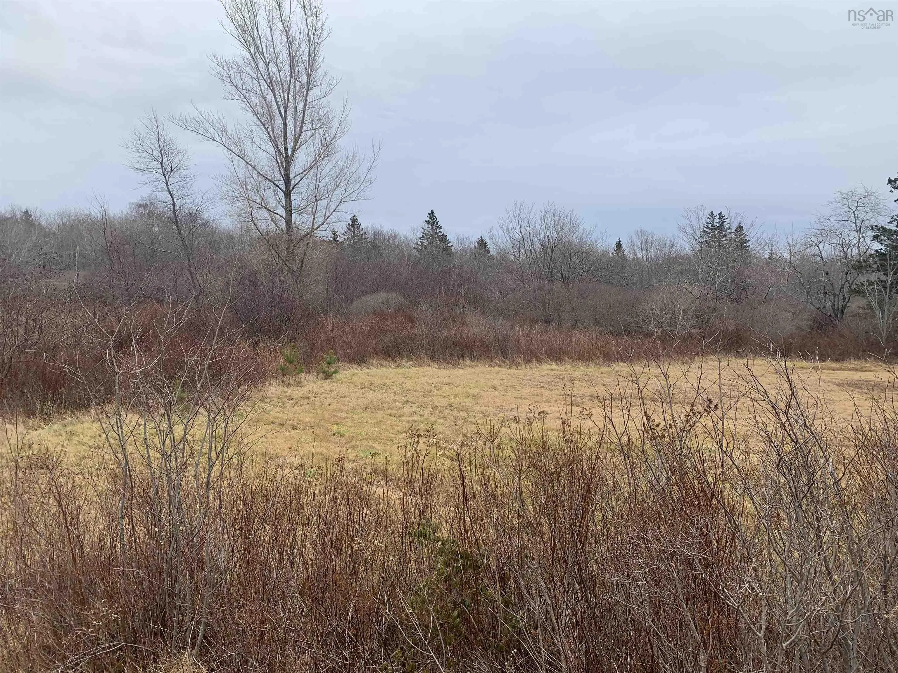 Highway 308, Sluice Point, NS B0W 3M0, ,Land,For Sale,Highway 308,202122220
