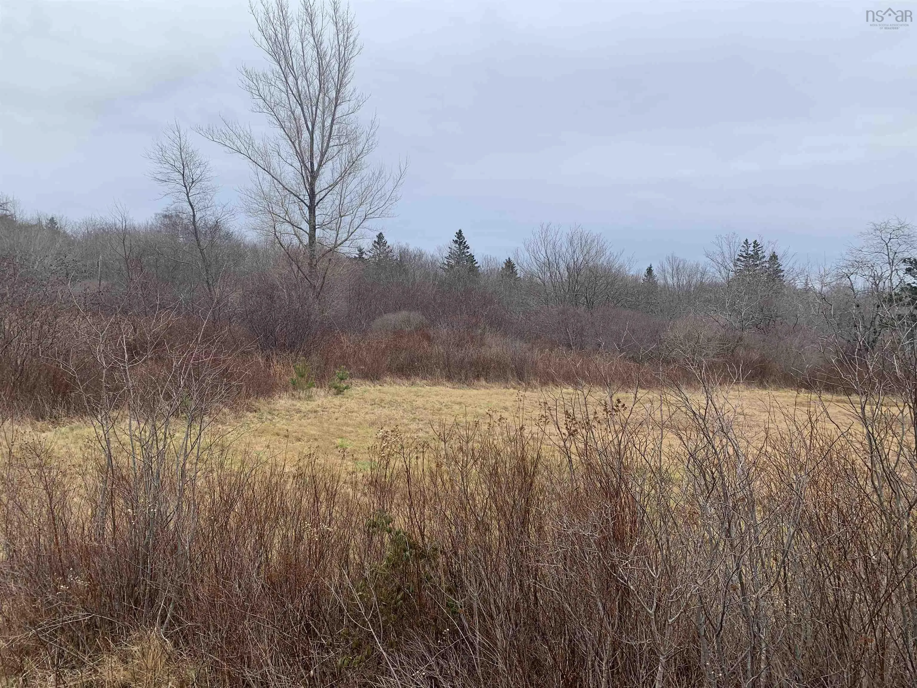 Highway 308, Sluice Point, NS B0W 3M0, ,Land,For Sale,Highway 308,202122220