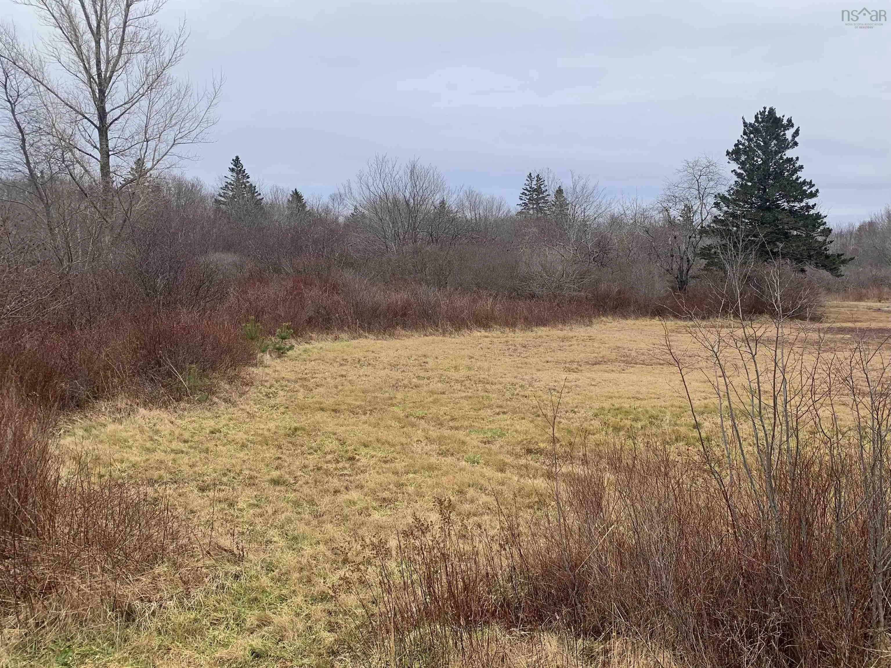 Highway 308, Sluice Point, NS B0W 3M0, ,Land,For Sale,Highway 308,202122220
