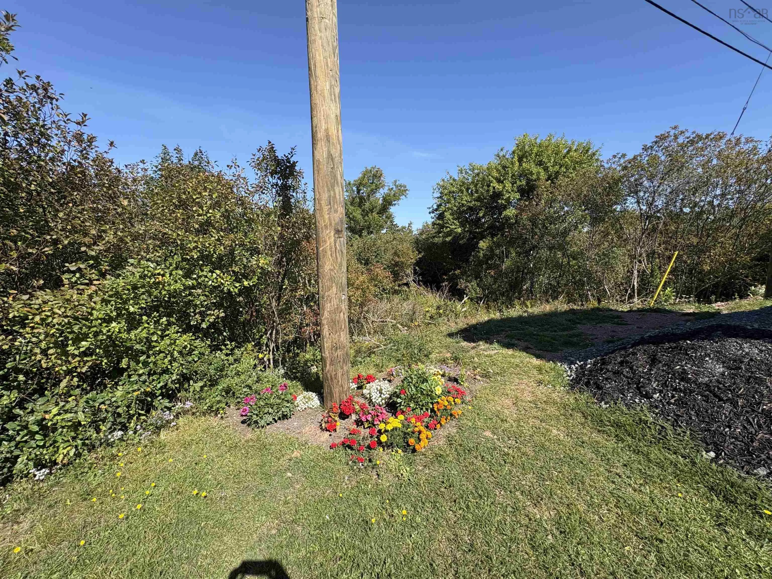 37 Andys Avenue, Bible Hill, NS B2N 2W9, 3 Bedrooms Bedrooms, ,2 BathroomsBathrooms,Residential,For Sale,Andys,202523613