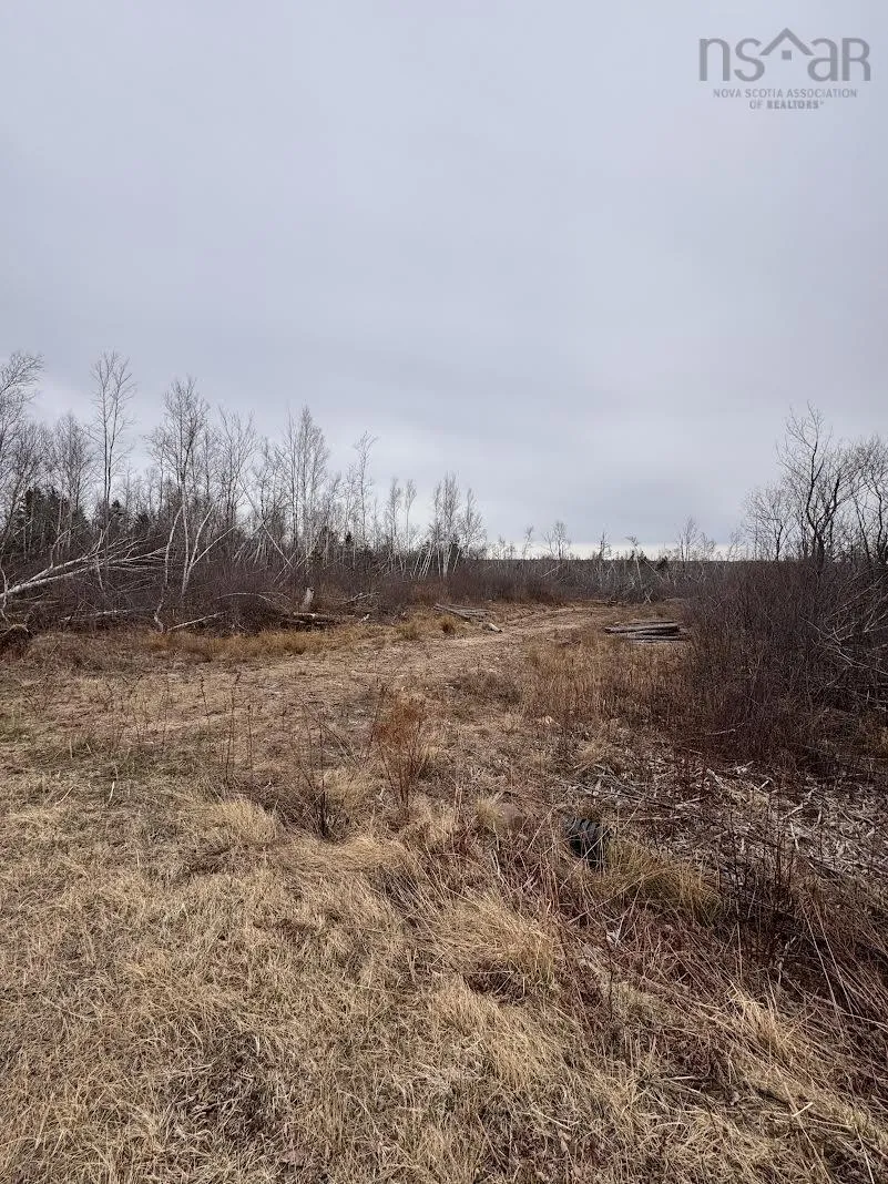50 Acres Old Pictou Road, Bigney Ns B0k 1n0, ,Land,For Sale,Old Pictou,202507670