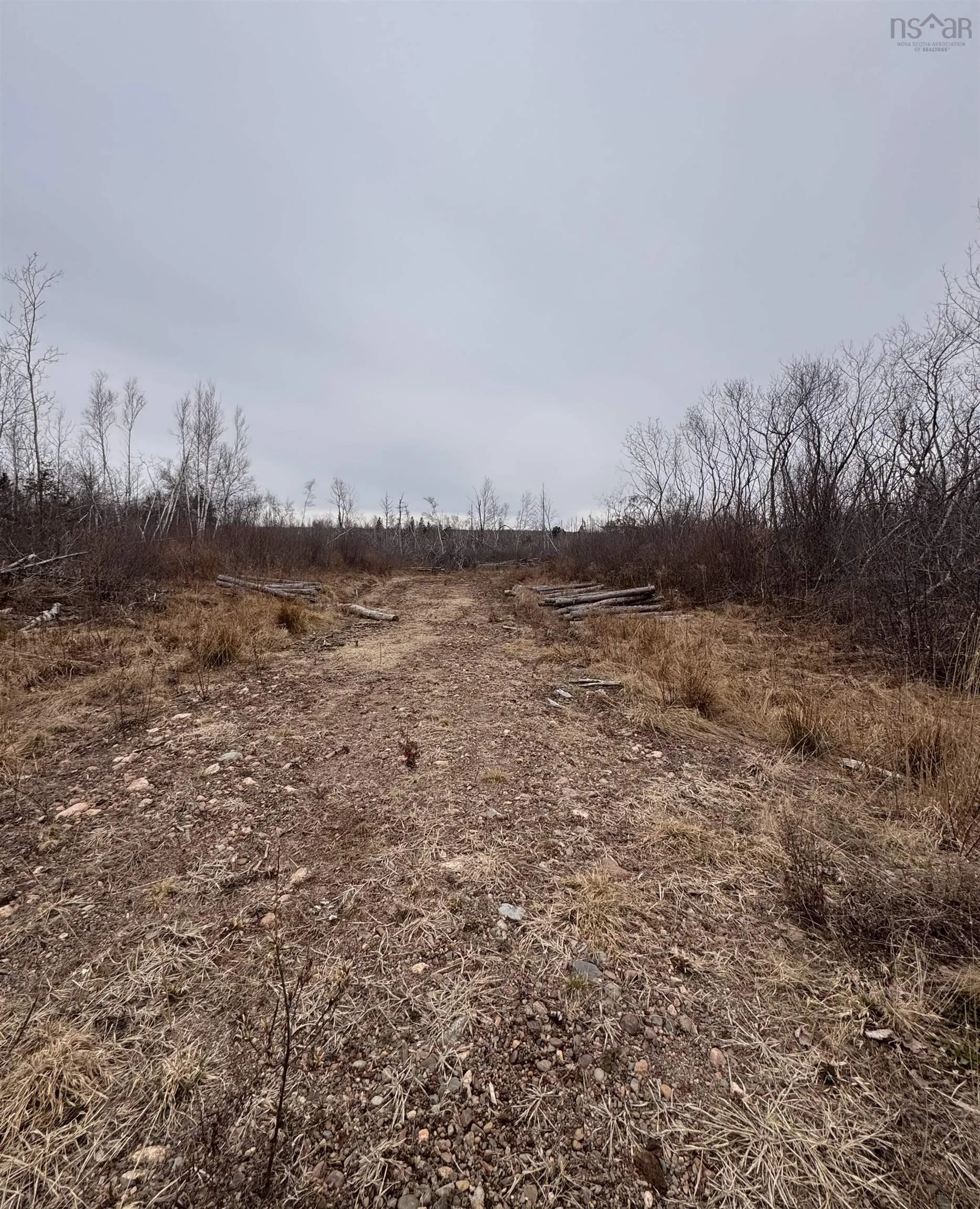 50 Acres Old Pictou Road, Bigney Ns B0k 1n0, ,Land,For Sale,Old Pictou,202507670