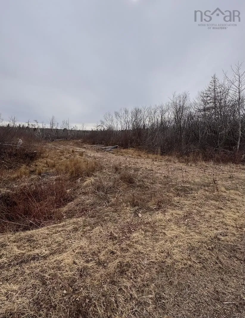 50 Acres Old Pictou Road, Bigney Ns B0k 1n0, ,Land,For Sale,Old Pictou,202507670
