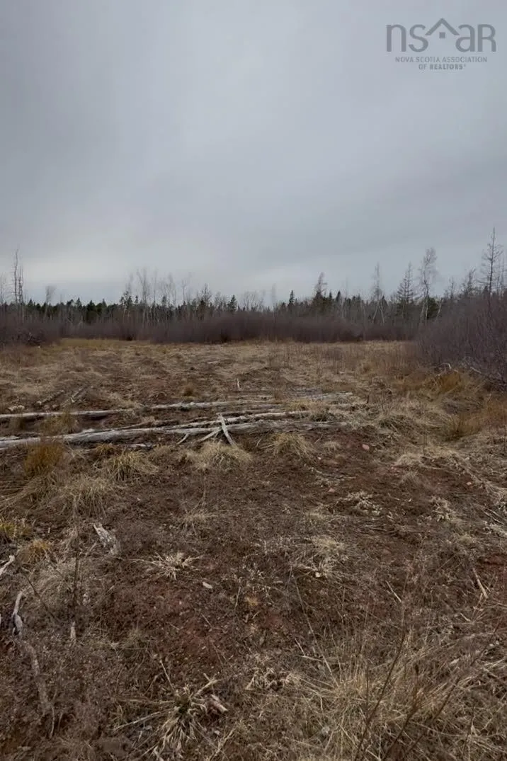 50 Acres Old Pictou Road, Bigney Ns B0k 1n0, ,Land,For Sale,Old Pictou,202507670