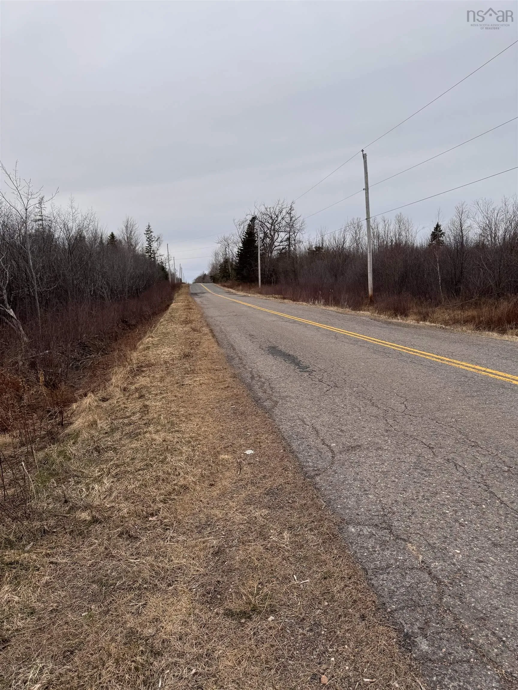 50 Acres Old Pictou Road, Bigney Ns B0k 1n0, ,Land,For Sale,Old Pictou,202507670