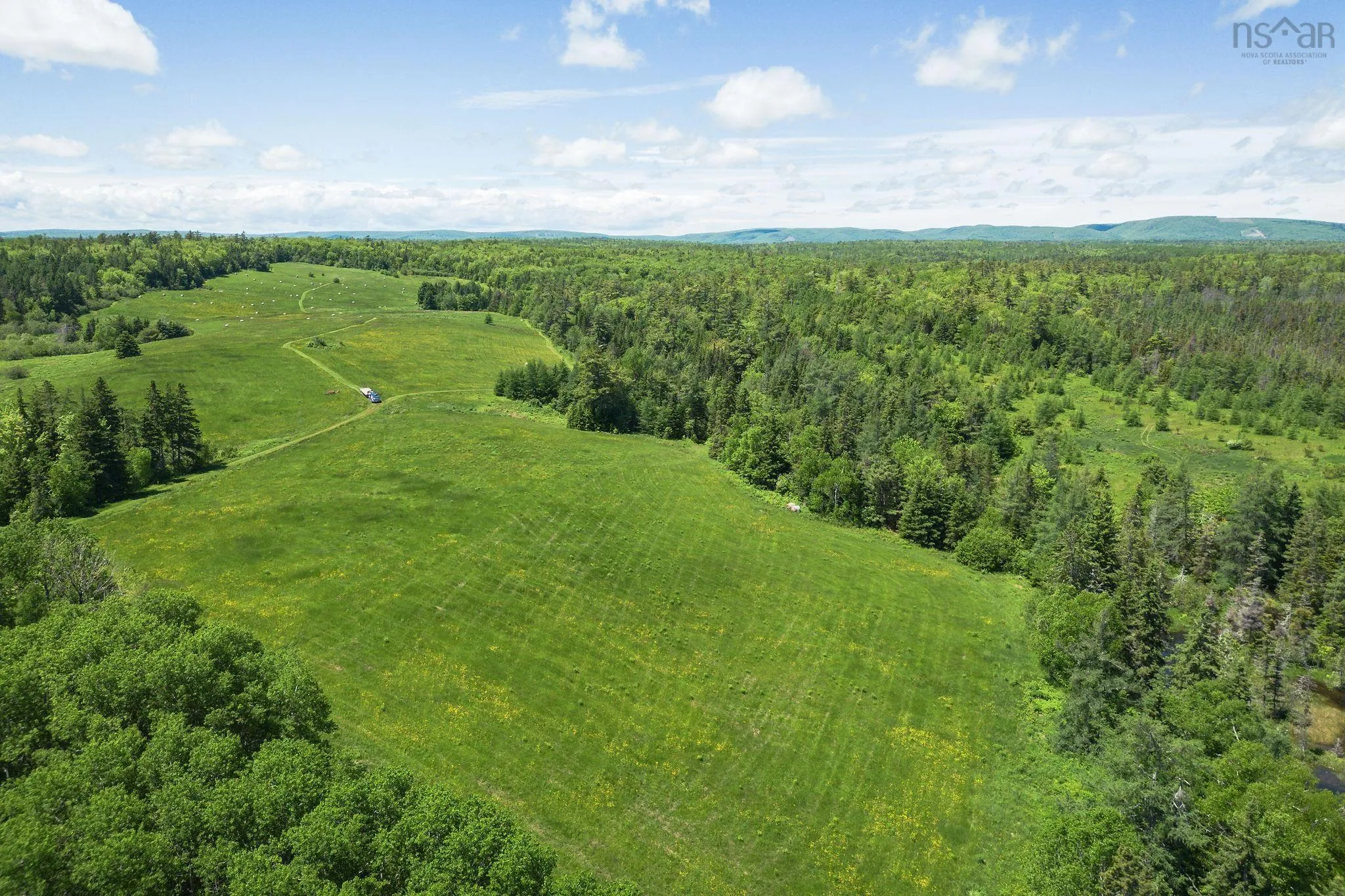 10353 Marble Mountain Road, Orangedale Ns B0e 2k0, 4 Bedrooms Bedrooms, ,2 BathroomsBathrooms,Farm,For Sale,Marble Mountain,202502672