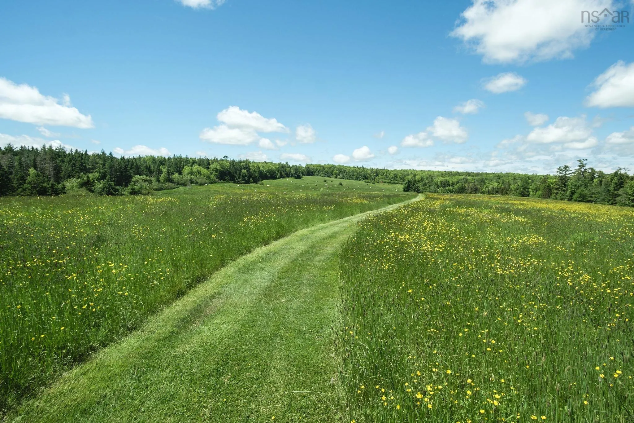 10353 Marble Mountain Road, Orangedale Ns B0e 2k0, 4 Bedrooms Bedrooms, ,2 BathroomsBathrooms,Farm,For Sale,Marble Mountain,202502672