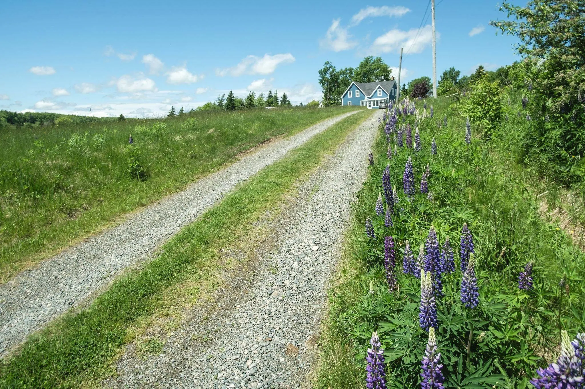 10353 Marble Mountain Road, Orangedale Ns B0e 2k0, 4 Bedrooms Bedrooms, ,2 BathroomsBathrooms,Farm,For Sale,Marble Mountain,202502672