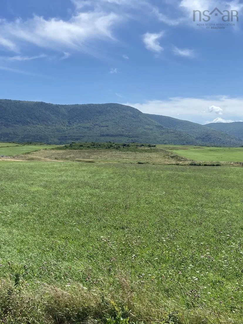 Cabot Trail, Grand Étang Ns B0e 1l0, ,Land,For Sale,Cabot,202419420