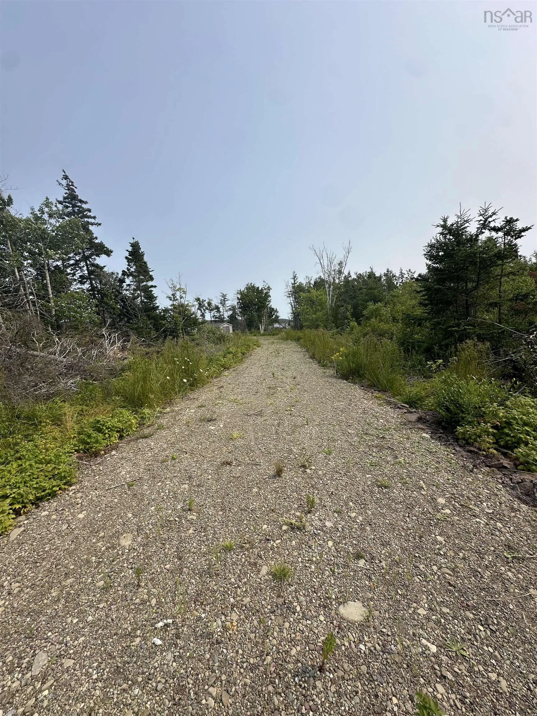 0 Highway 255, Black Brook, NS B1B 1T8, ,Land,For Sale,Highway 255,202519544