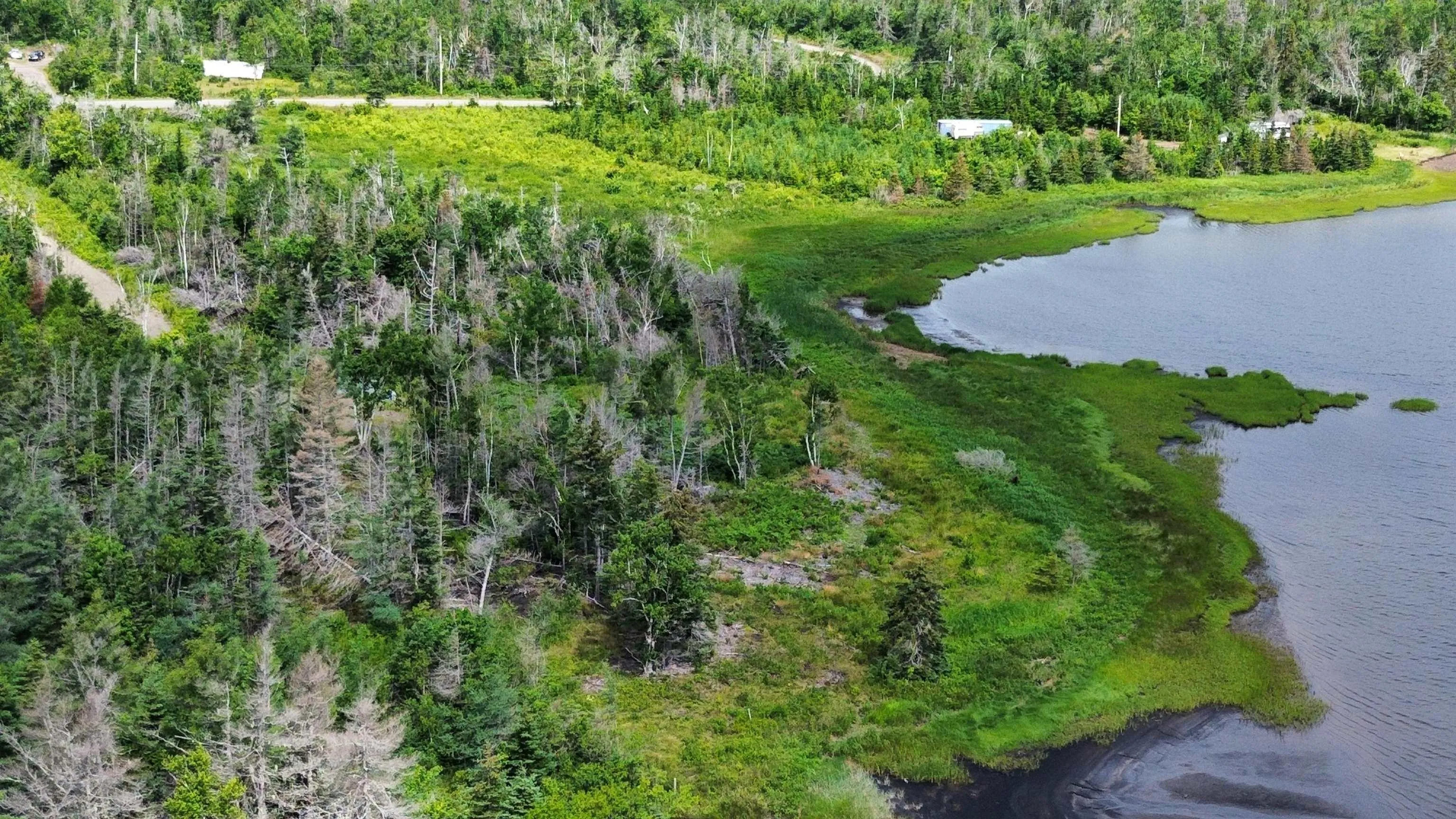 0 Highway 255, Black Brook, NS B1B 1T8, ,Land,For Sale,Highway 255,202519544