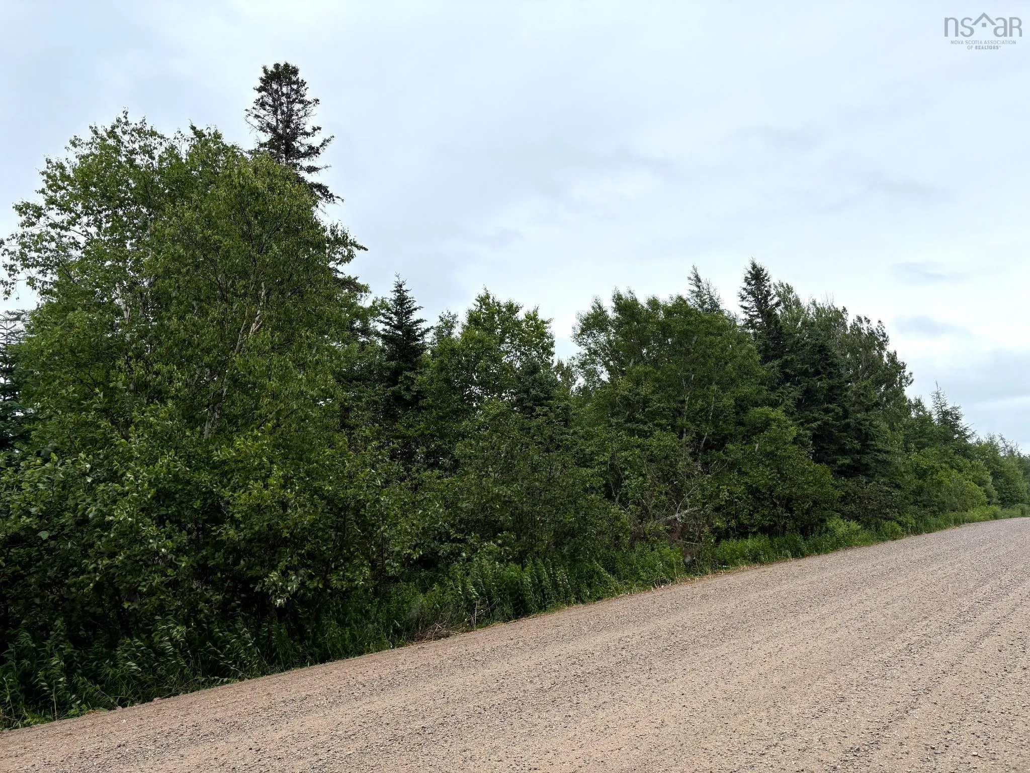 Upper Southwest Mabou Road, Glencoe Station, NS B0E 2W0, ,Land,For Sale,Upper Southwest Mabou,202519026