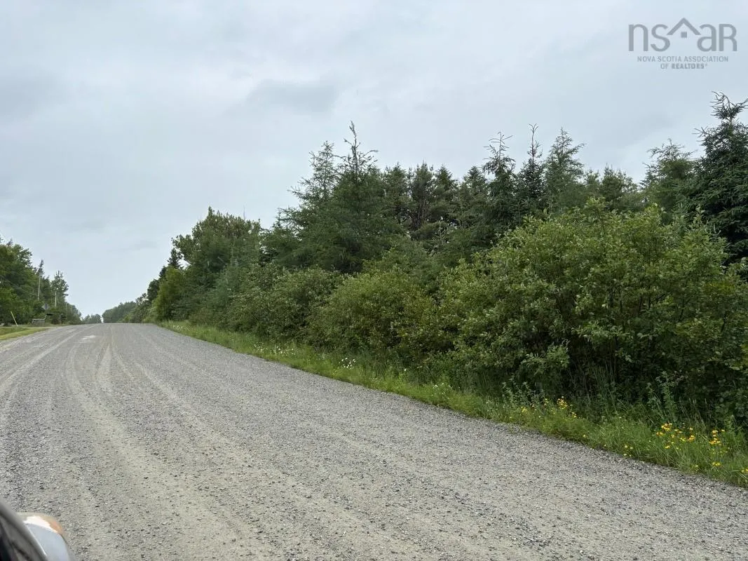 Upper Southwest Mabou Road, Glencoe Station, NS B0E 2W0, ,Land,For Sale,Upper Southwest Mabou,202519026