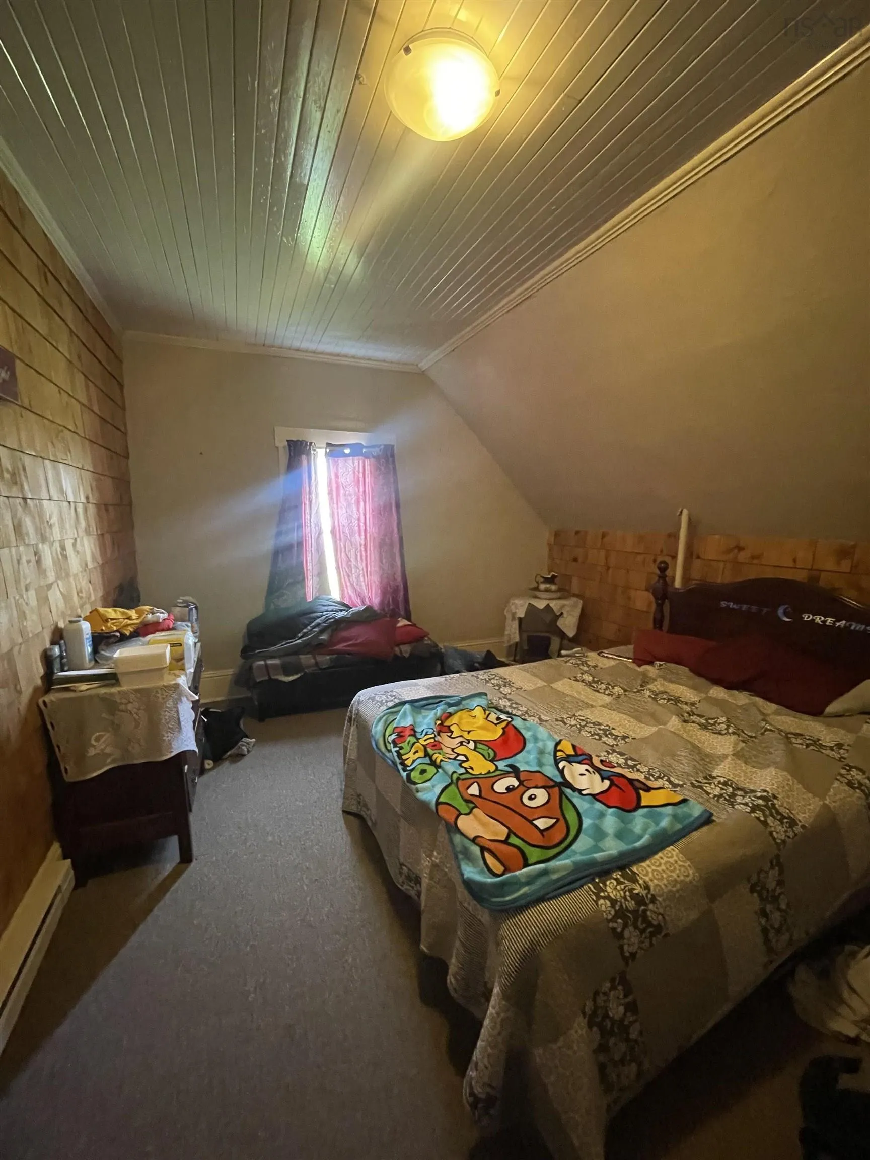 702 Centreville, South Side Road, South Side Ns B0w 1p0, 3 Bedrooms Bedrooms, ,1 BathroomBathrooms,Residential,For Sale,Centreville, South Side,202510473