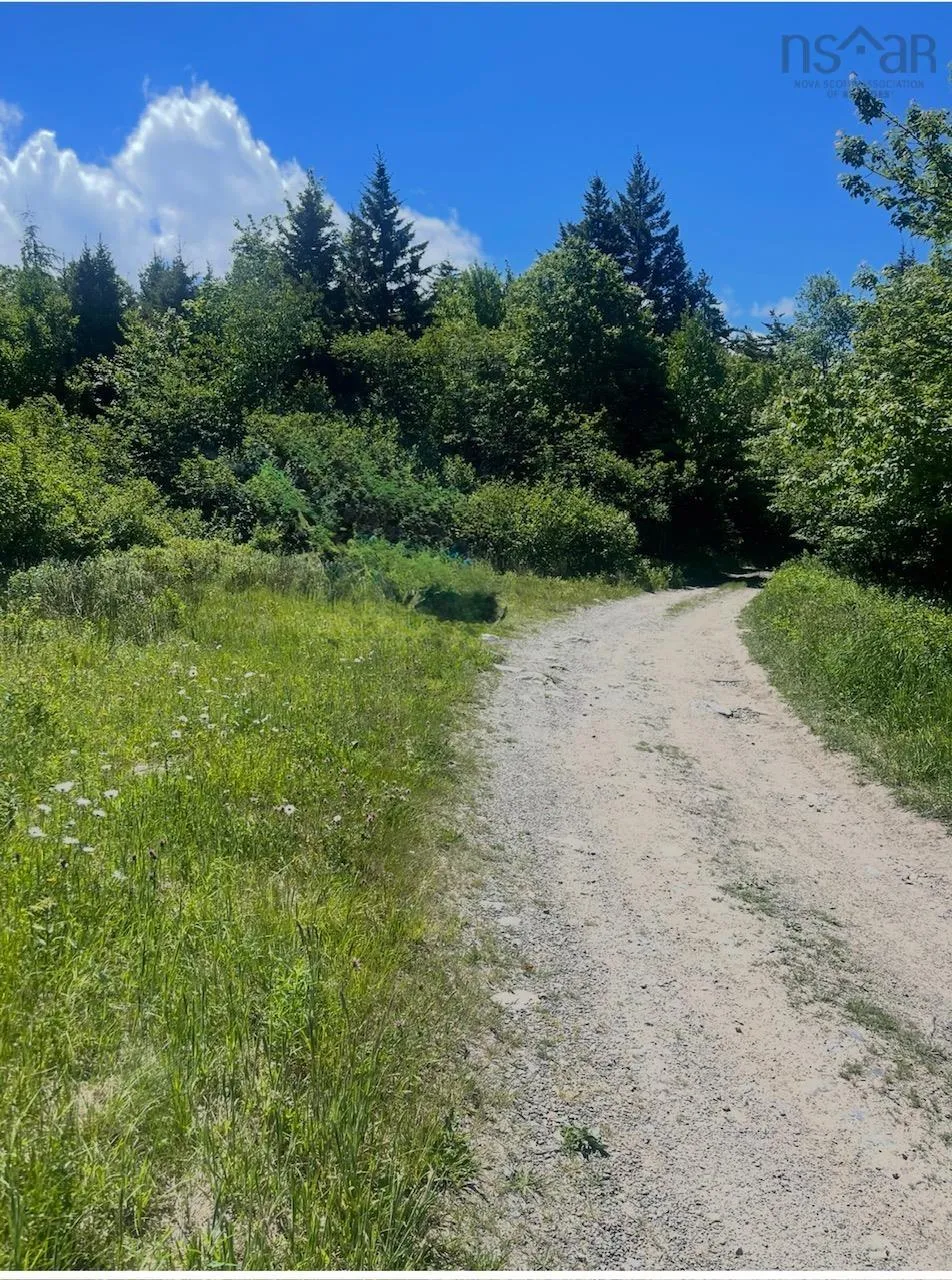 Land Charles Road, Concession, NS B0W 1M0, ,Land,For Sale,Charles Road,202513423