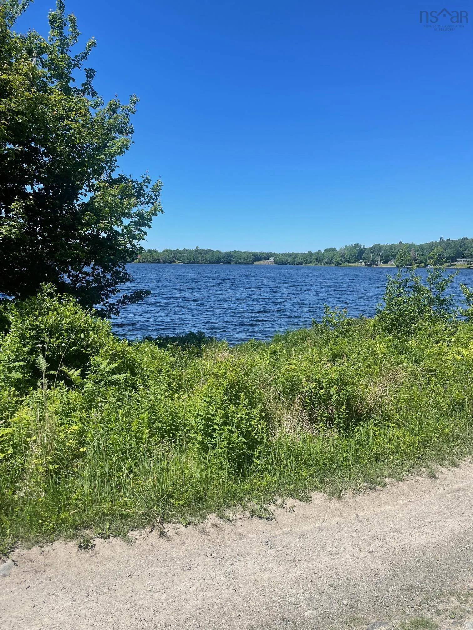 Land Charles Road, Concession, NS B0W 1M0, ,Land,For Sale,Charles Road,202513423