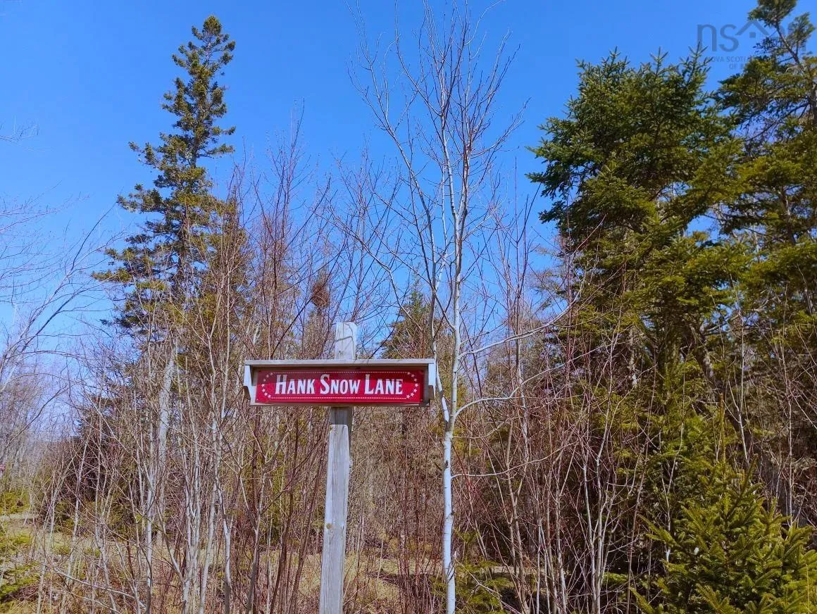 Jonny Cash Lane, Juniper Mountain Ns B1k 0c2, ,Land,For Sale,Johnny Cash Lane,202510145