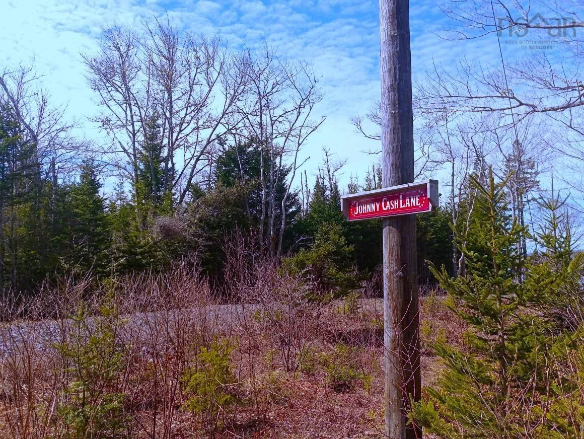 Jonny Cash Lane, Juniper Mountain Ns B1k 0c2, ,Land,For Sale,Johnny Cash Lane,202510145