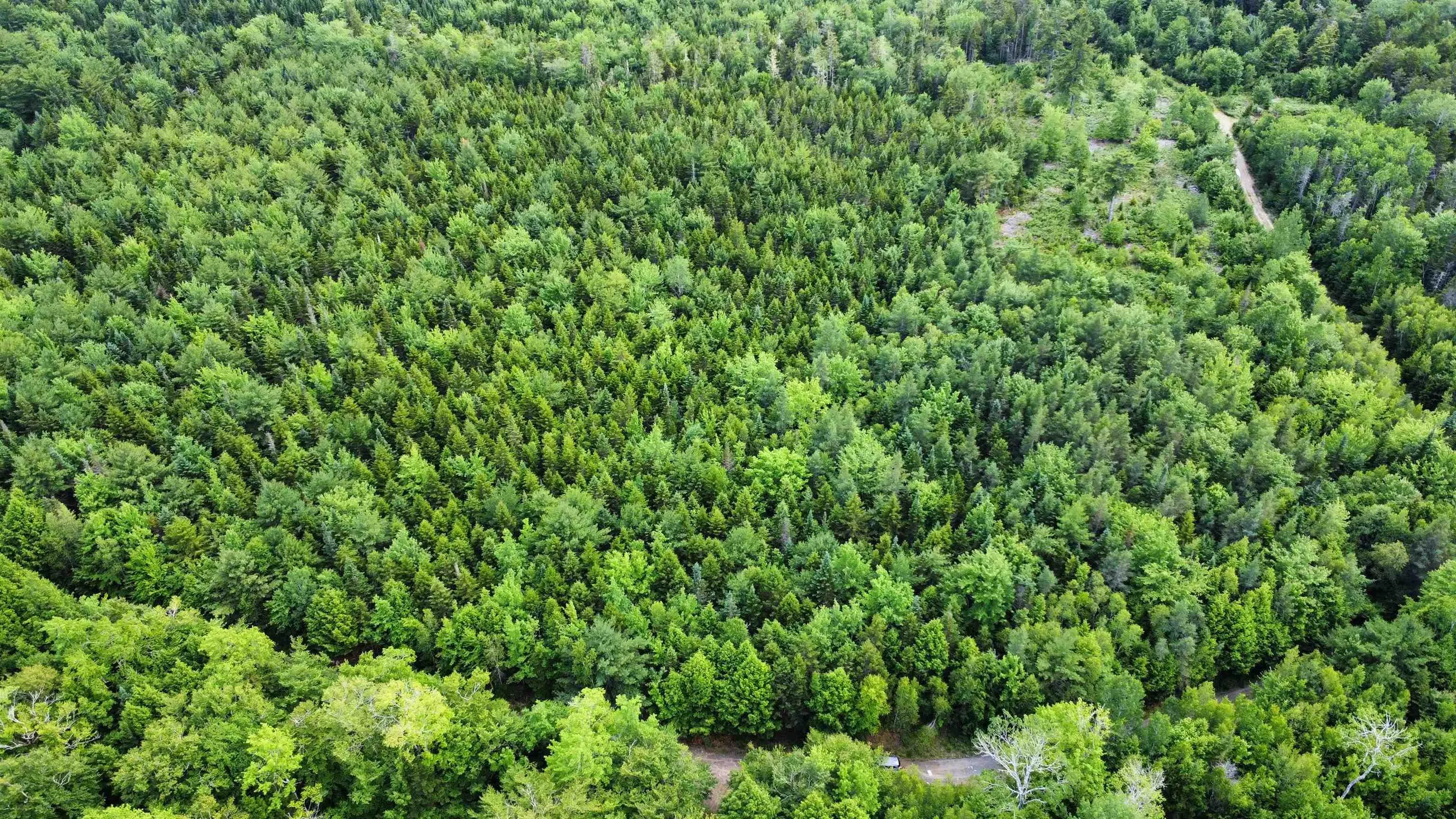 Arenburg Road Lot 102, Buckfield, NS B4V 8M5, ,Land,For Sale,Arenburg,202516421