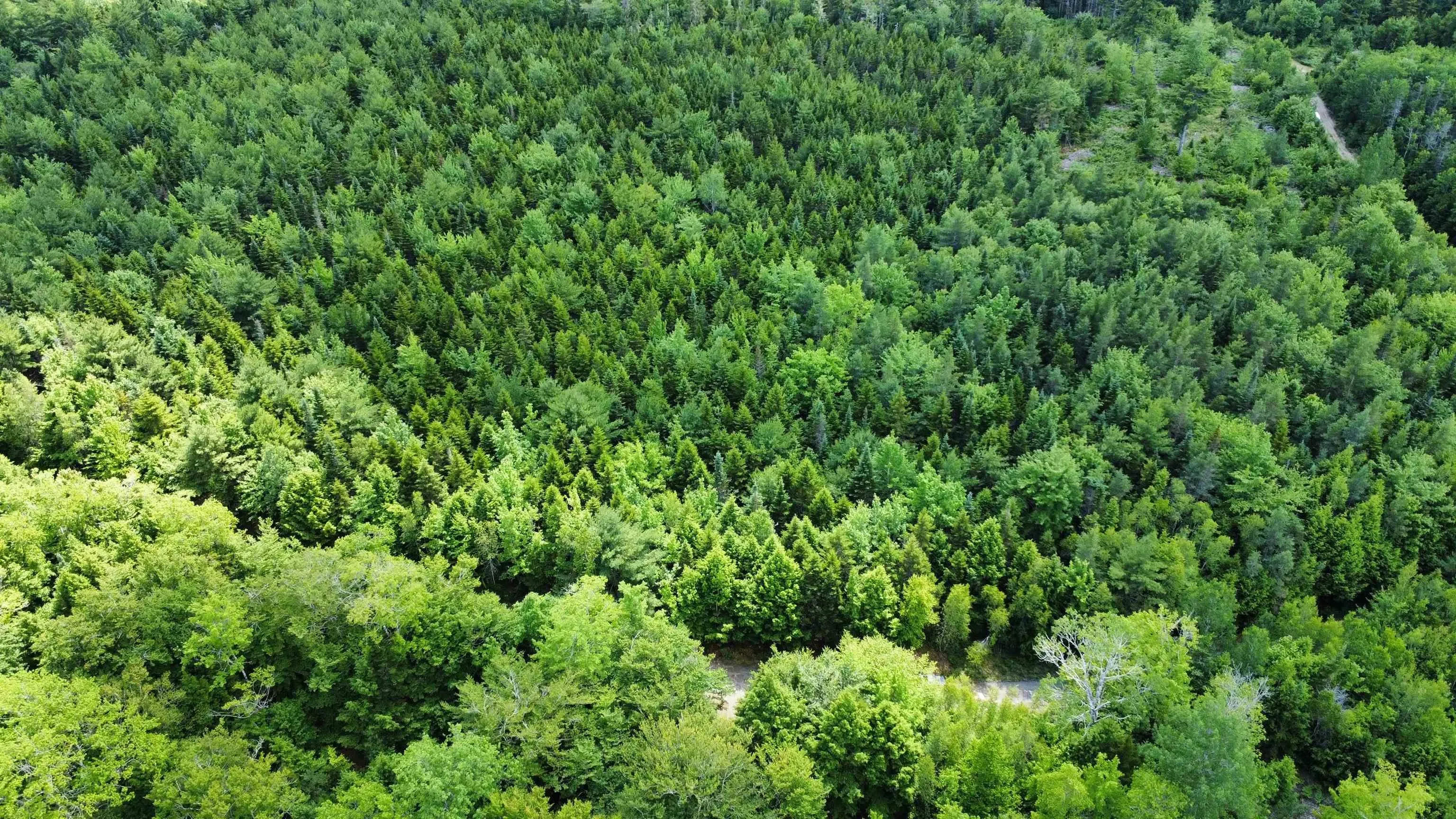 Arenburg Road Lot 102, Buckfield, NS B4V 8M5, ,Land,For Sale,Arenburg,202516421