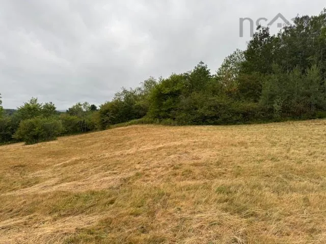 2853 Clementsvale Road, Bear River East, NS B0S 1B0, ,Land,For Sale,Clementsvale,202520682