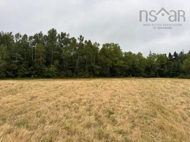 2853 Clementsvale Road, Bear River East, NS B0S 1B0, ,Land,For Sale,Clementsvale,202520682