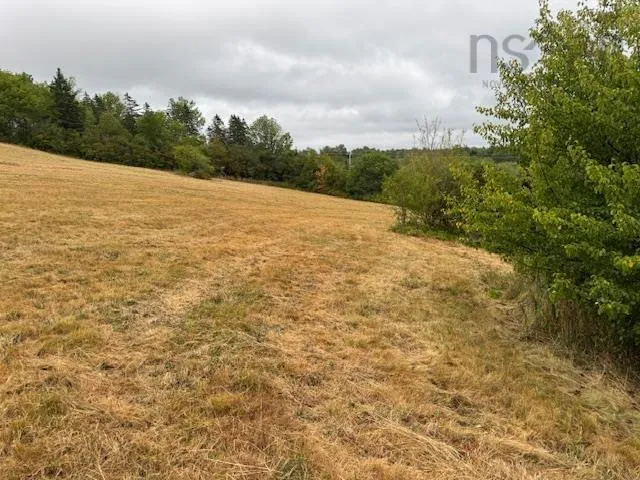 2853 Clementsvale Road, Bear River East, NS B0S 1B0, ,Land,For Sale,Clementsvale,202520682