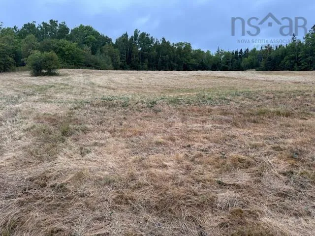2853 Clementsvale Road, Bear River East, NS B0S 1B0, ,Land,For Sale,Clementsvale,202520682