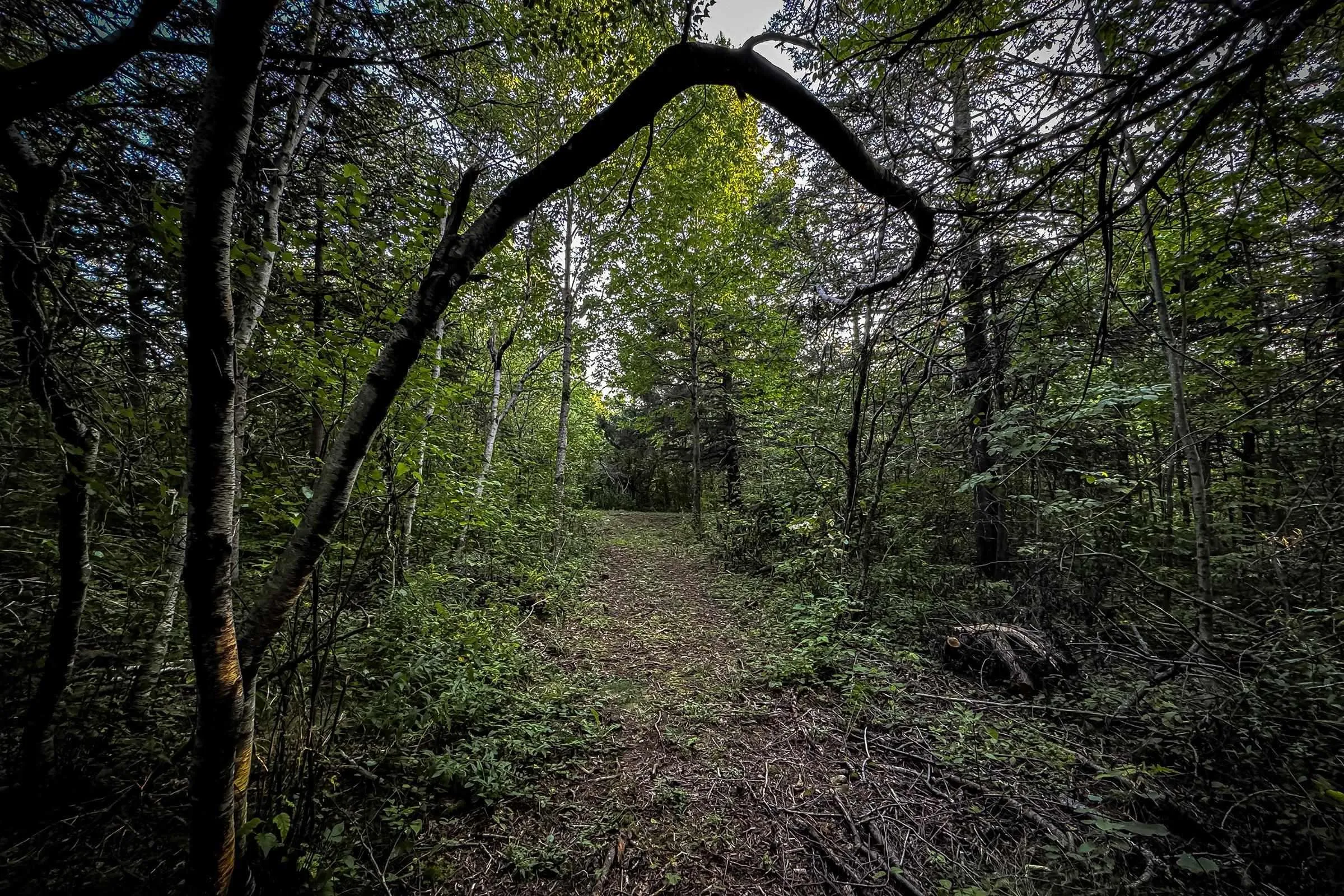 Lot 4 Outram Road, Mount Hanley, NS B0S 1P0, ,Land,For Sale,Outram,202520721