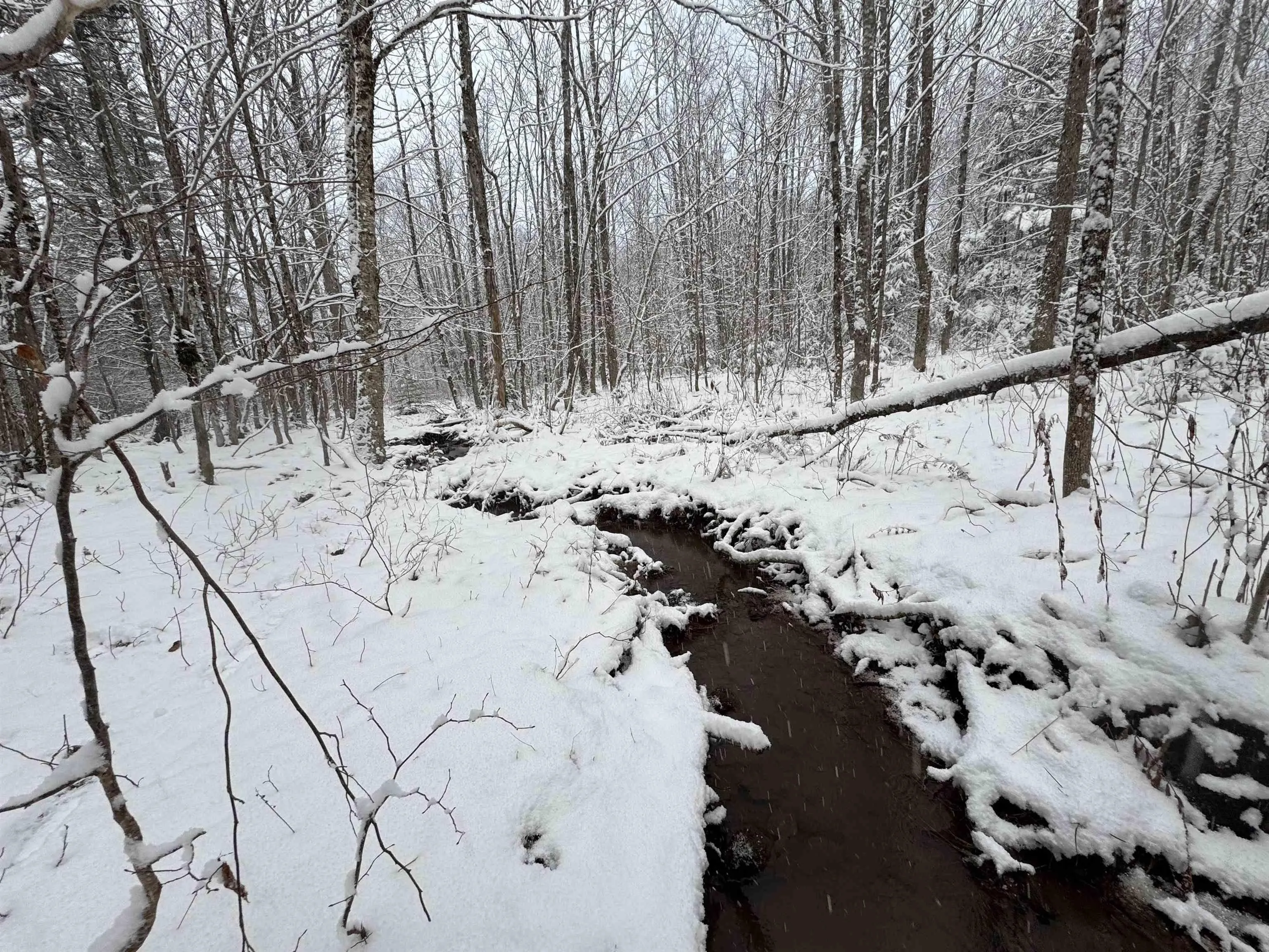 Lot 4 Outram Road, Mount Hanley, NS B0S 1P0, ,Land,For Sale,Outram,202520721