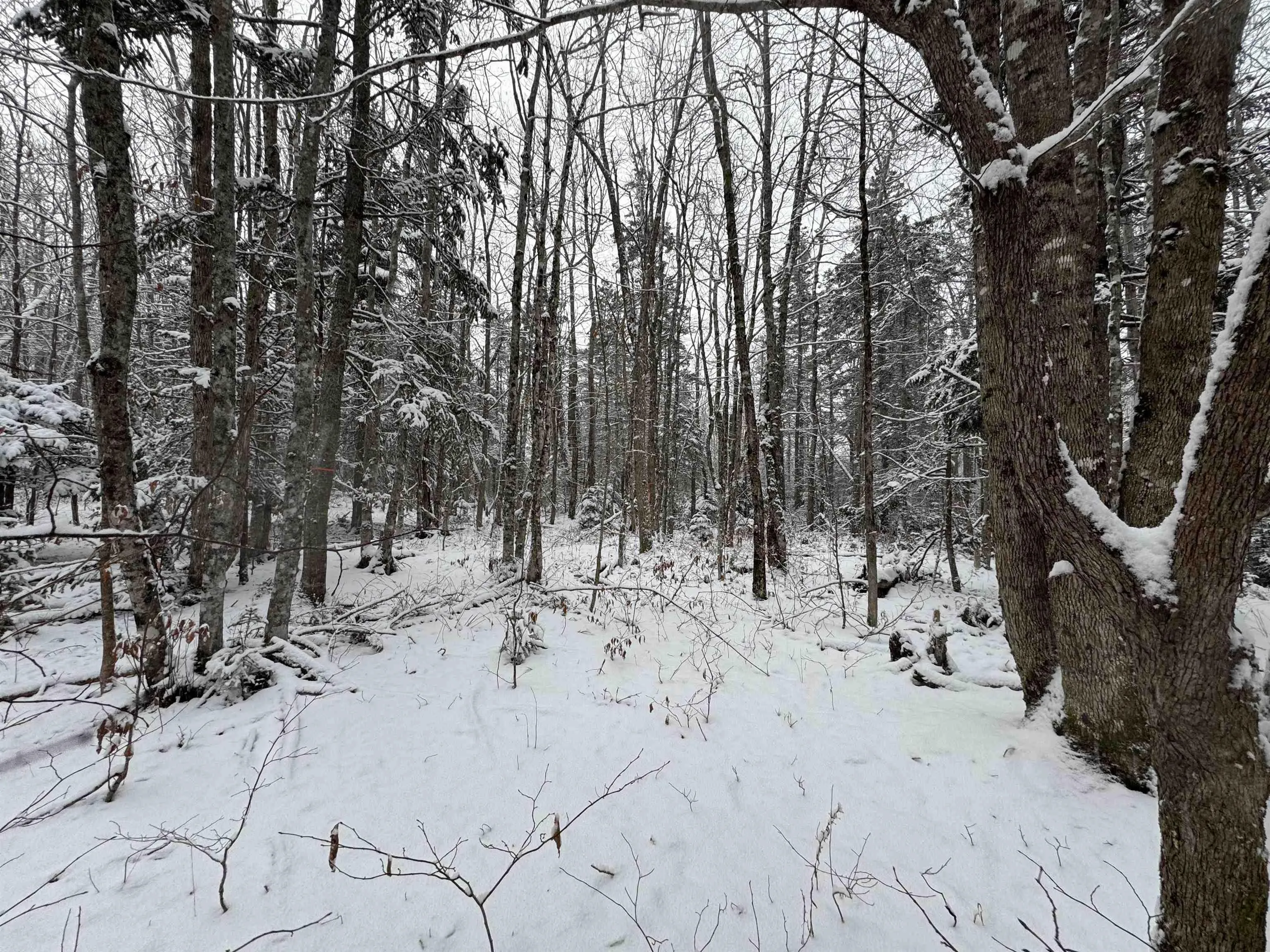 Lot 4 Outram Road, Mount Hanley, NS B0S 1P0, ,Land,For Sale,Outram,202520721