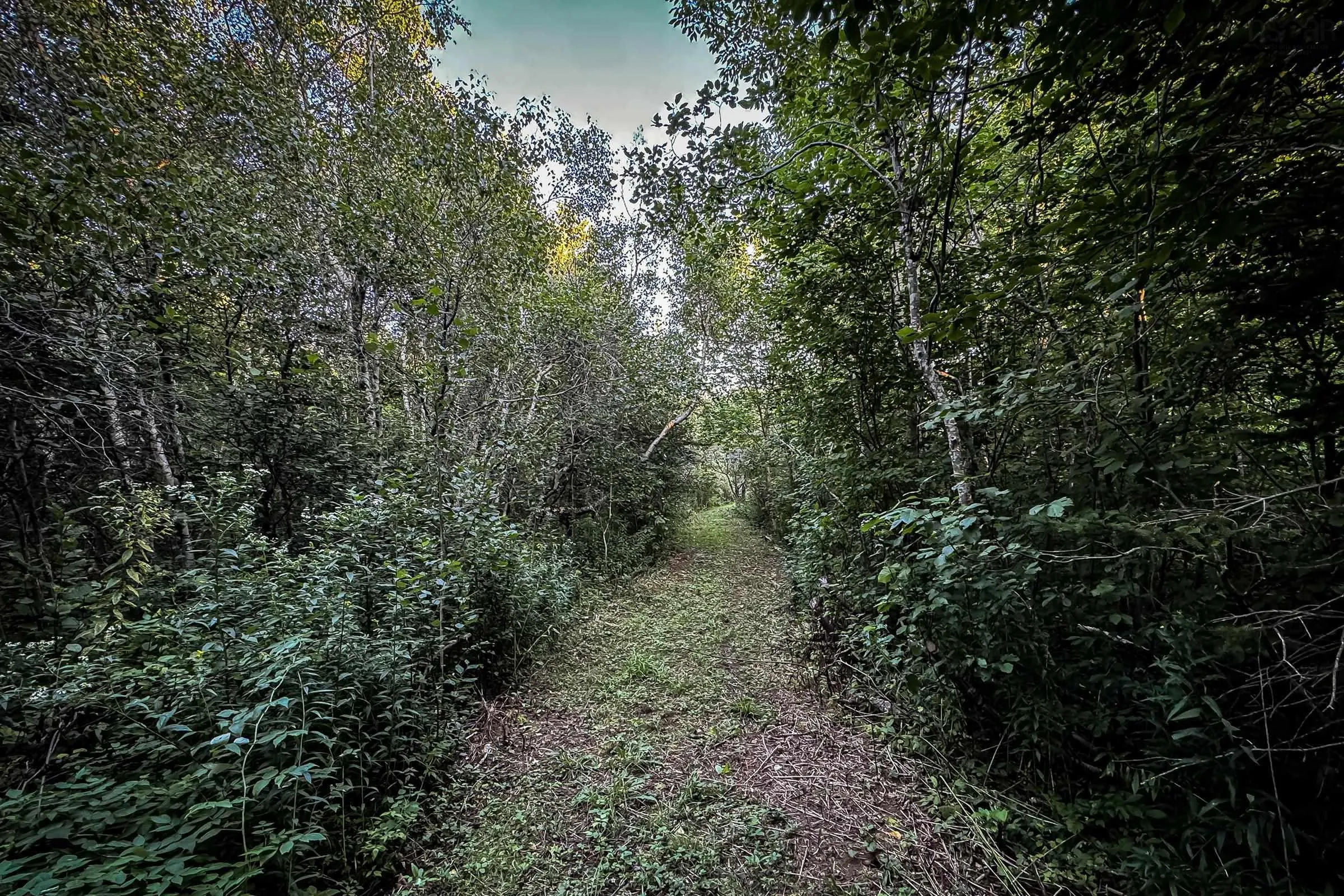 Lot 4 Outram Road, Mount Hanley, NS B0S 1P0, ,Land,For Sale,Outram,202520721