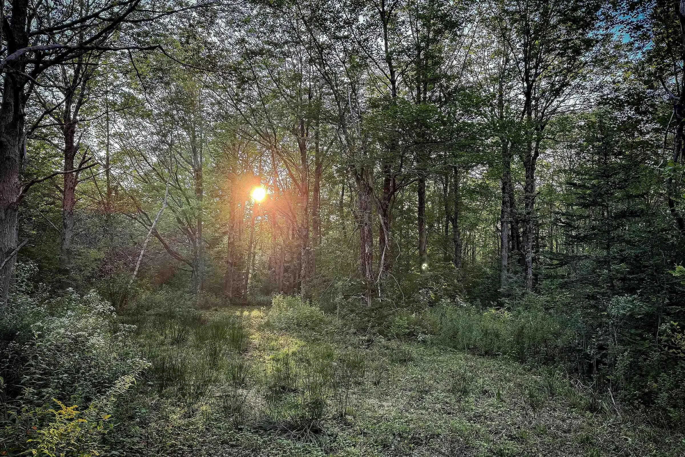 Lot 4 Outram Road, Mount Hanley, NS B0S 1P0, ,Land,For Sale,Outram,202520721