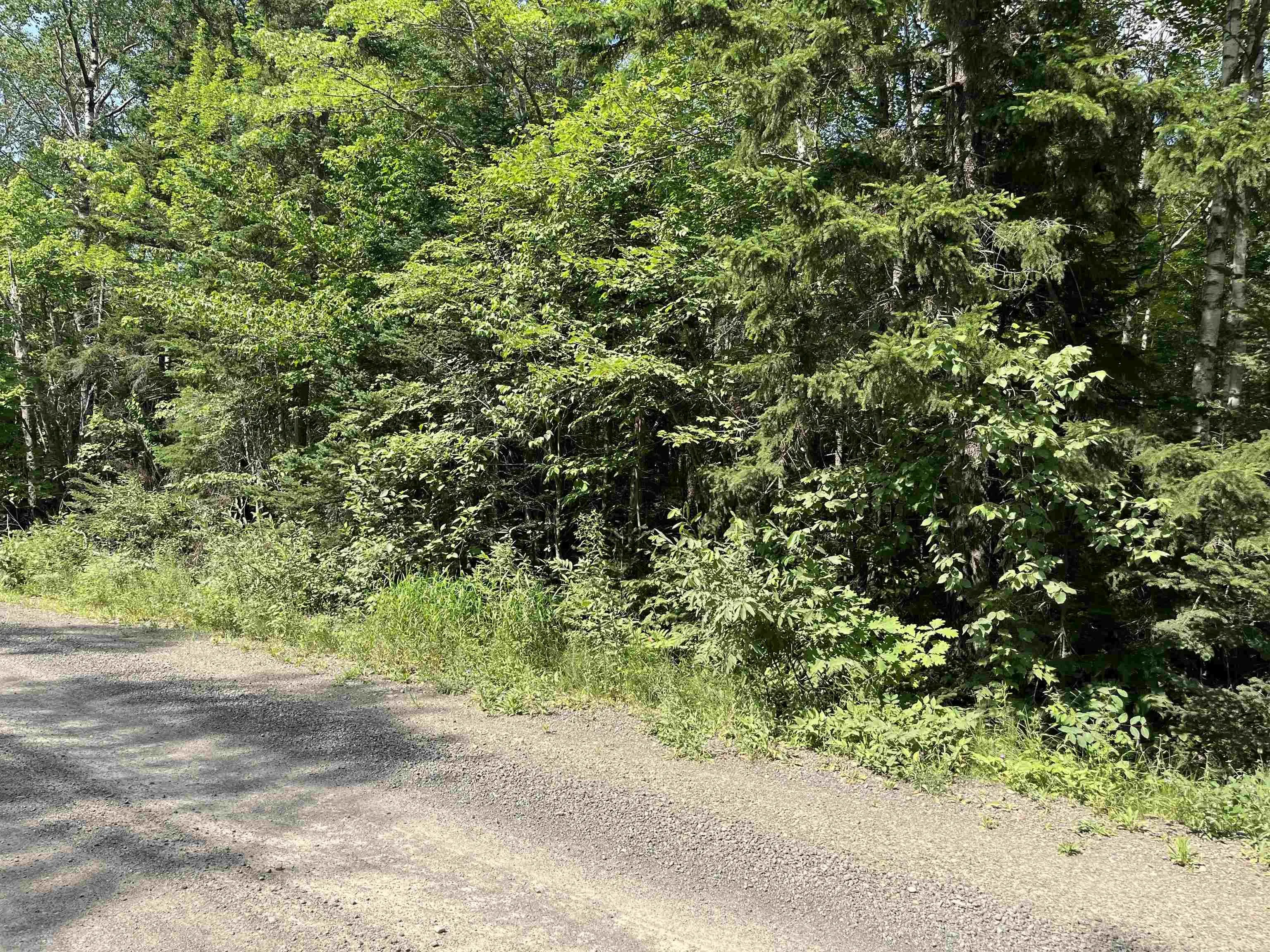 5-lots 1-7 Butler Road Road, Forest Home Ns B4n 3v8, ,Land,For Sale,Butler Road,202307829