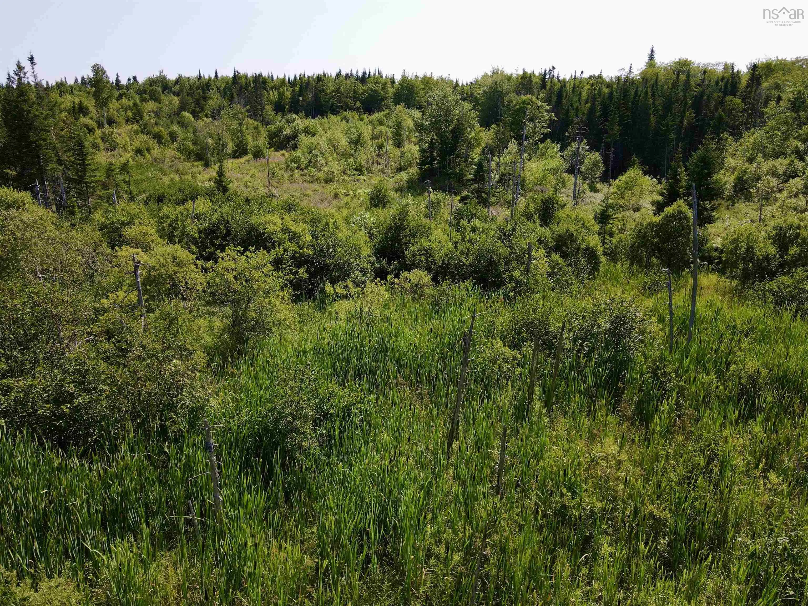 1349 West Side Middle River Road, Middle River, NS B0E 1B0, ,Land,For Sale,West Side Middle River,202521709