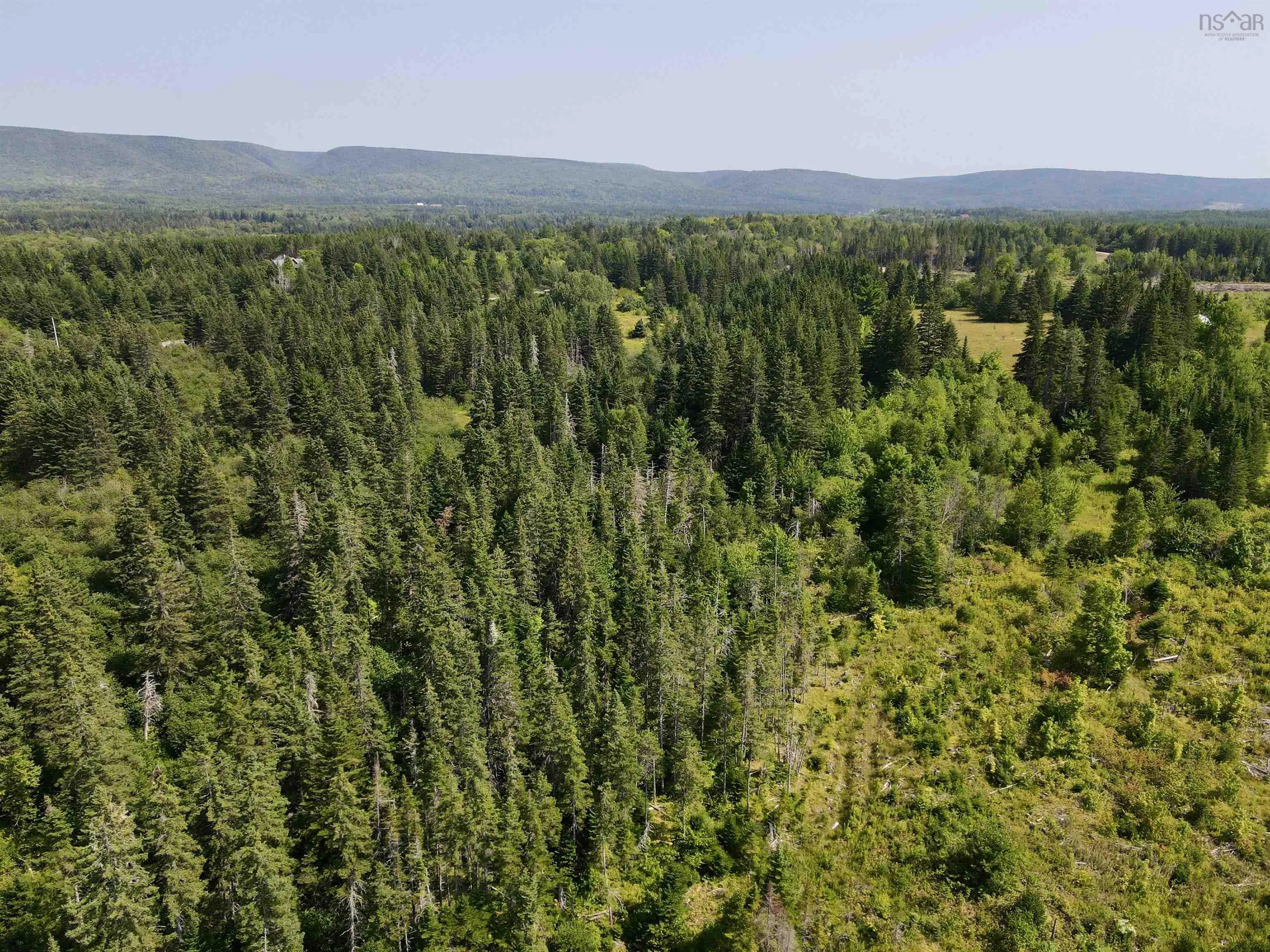 1349 West Side Middle River Road, Middle River, NS B0E 1B0, ,Land,For Sale,West Side Middle River,202521709