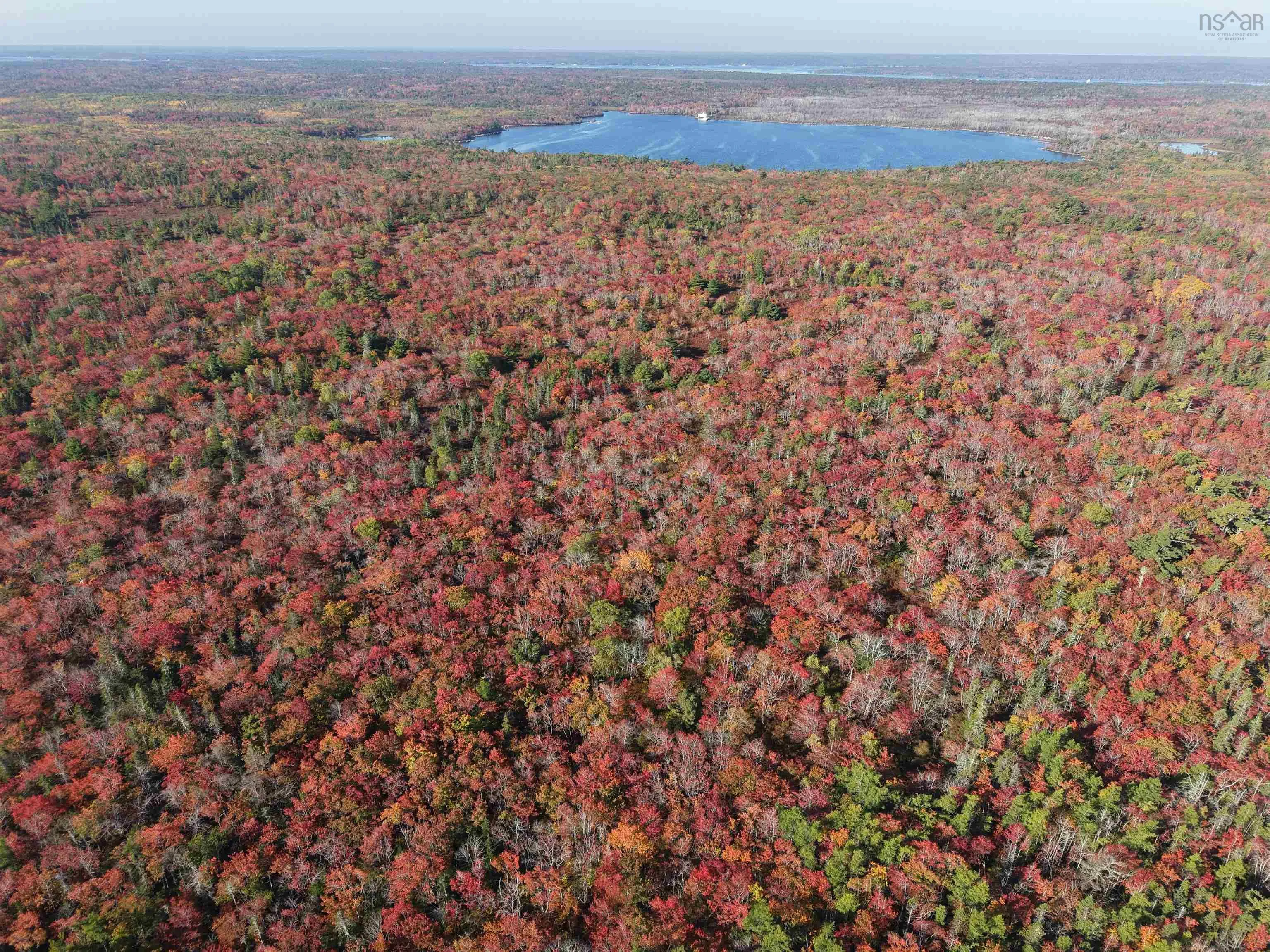 Sandy Point Road, Jordan Ferry, NS B0T 1W0, ,Land,For Sale,Sandy Point,202525586