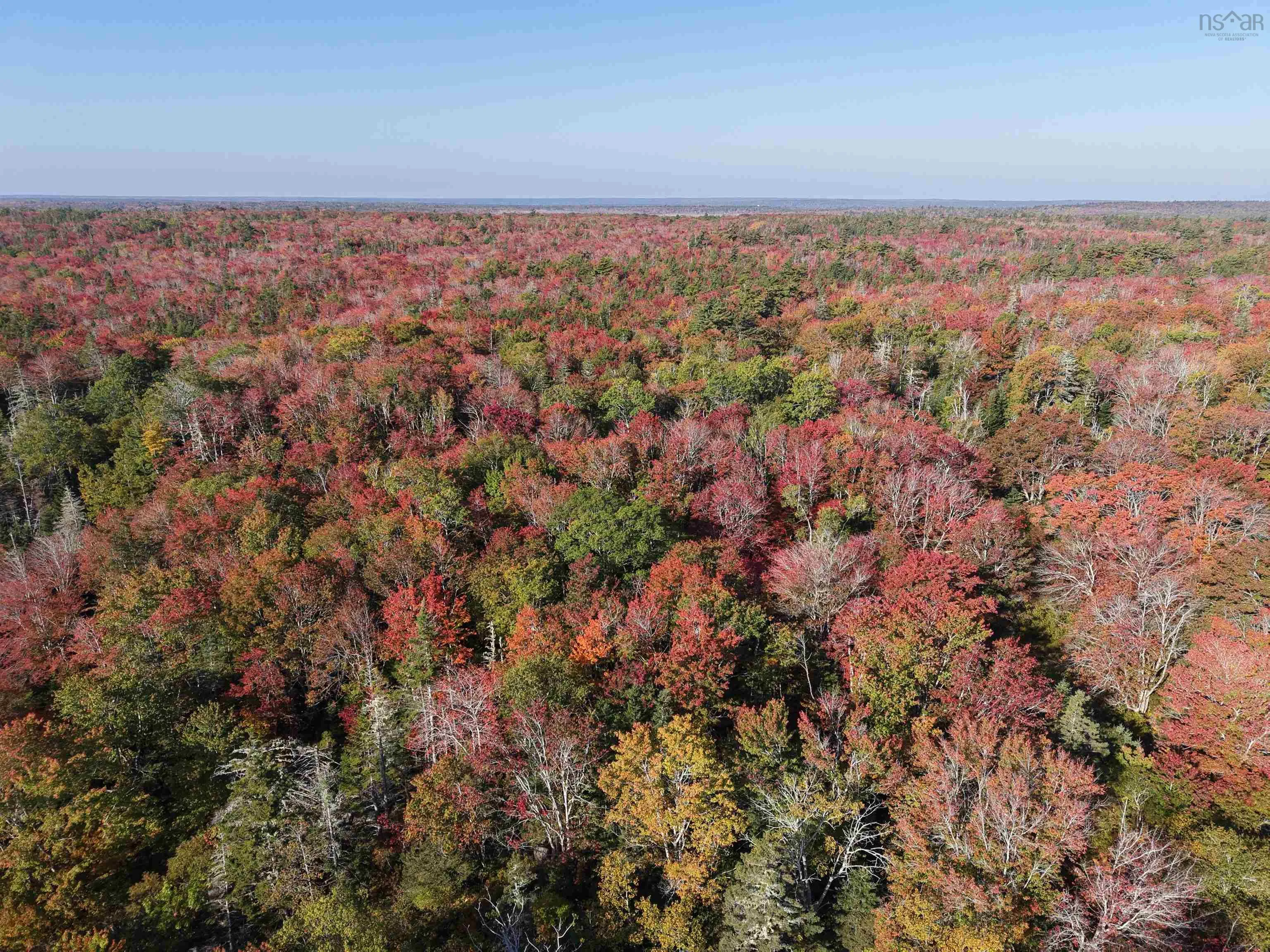 Sandy Point Road, Jordan Ferry, NS B0T 1W0, ,Land,For Sale,Sandy Point,202525586