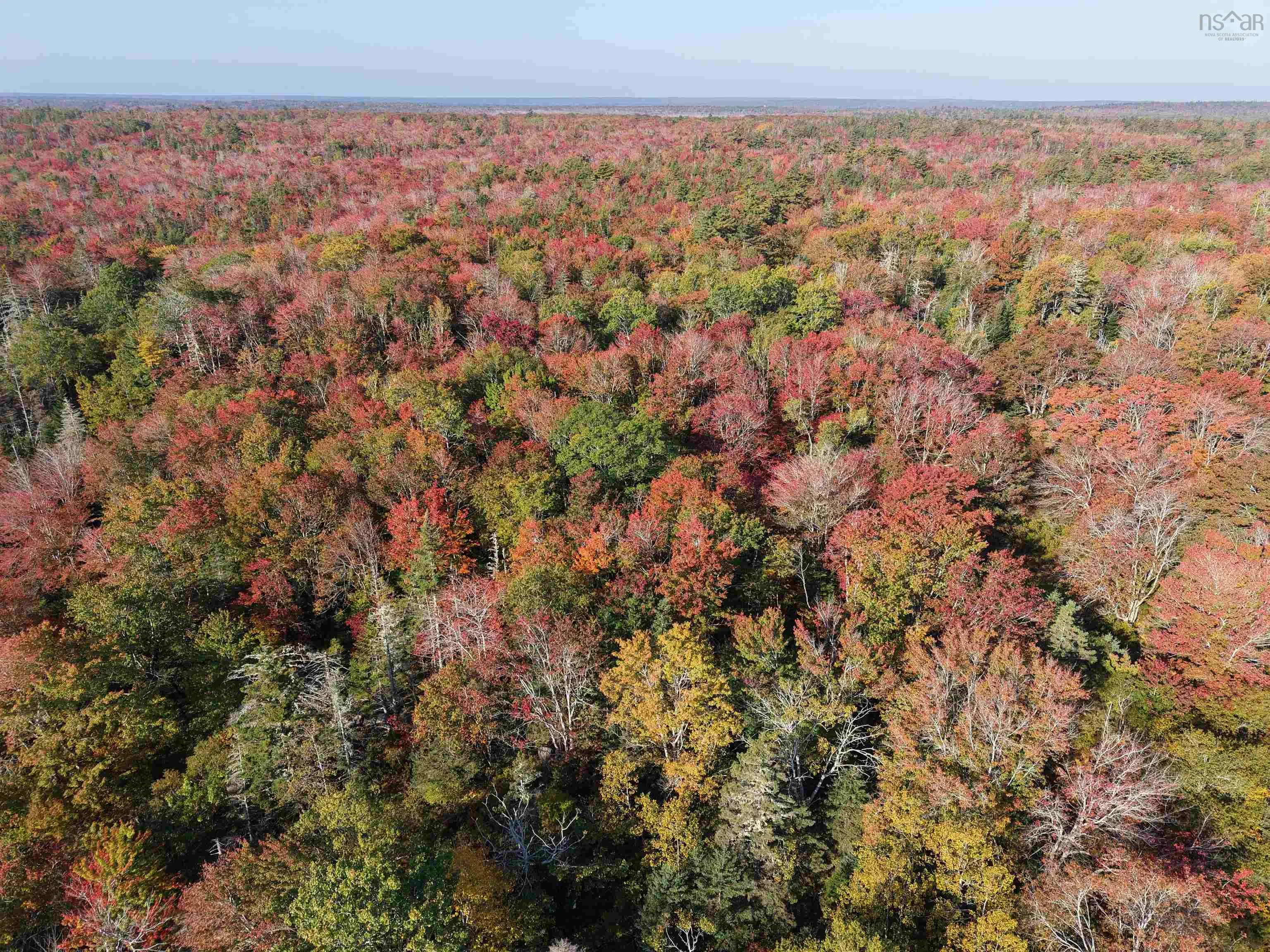 Sandy Point Road, Jordan Ferry, NS B0T 1W0, ,Land,For Sale,Sandy Point,202525586