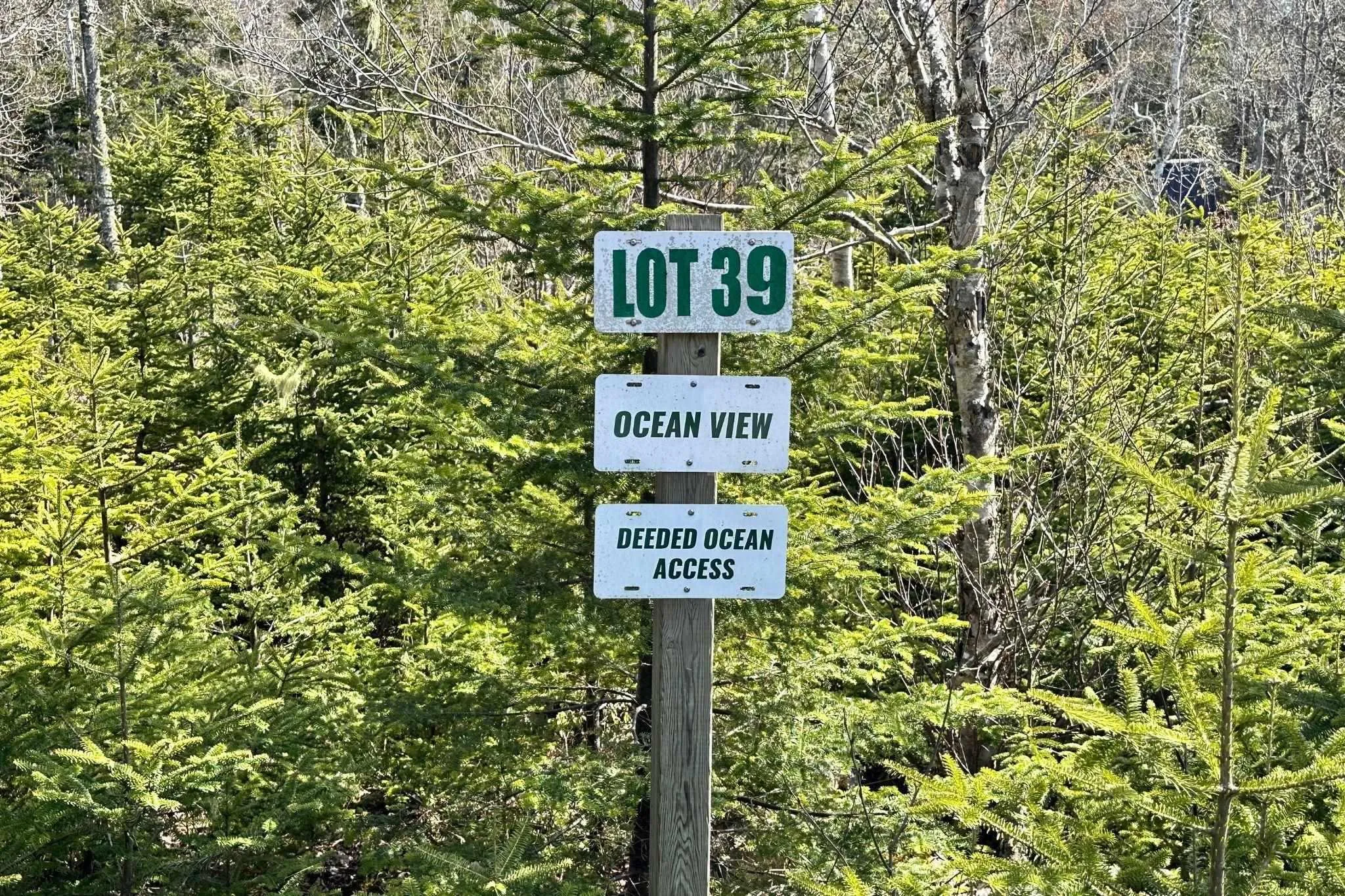 25 Shad Point Parkway Lot 39, Blind Bay Ns B3z 4k9, ,Land,For Sale,Shad Point,202408998