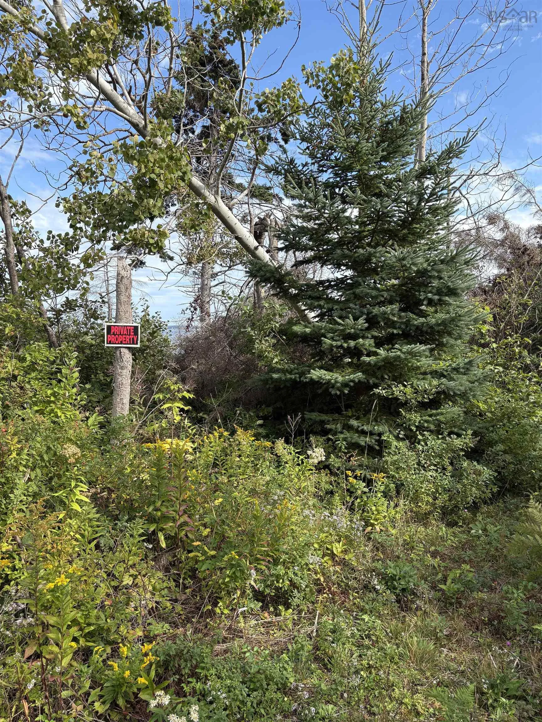 0 Mira Bay Drive, Mira Gut, NS B1K 2X5, ,Land,For Sale,Mira Bay,202523311